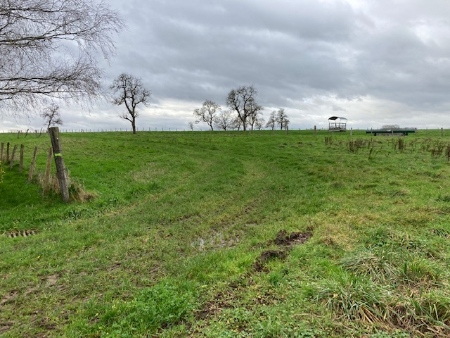 Terrain Louze 5083 m2