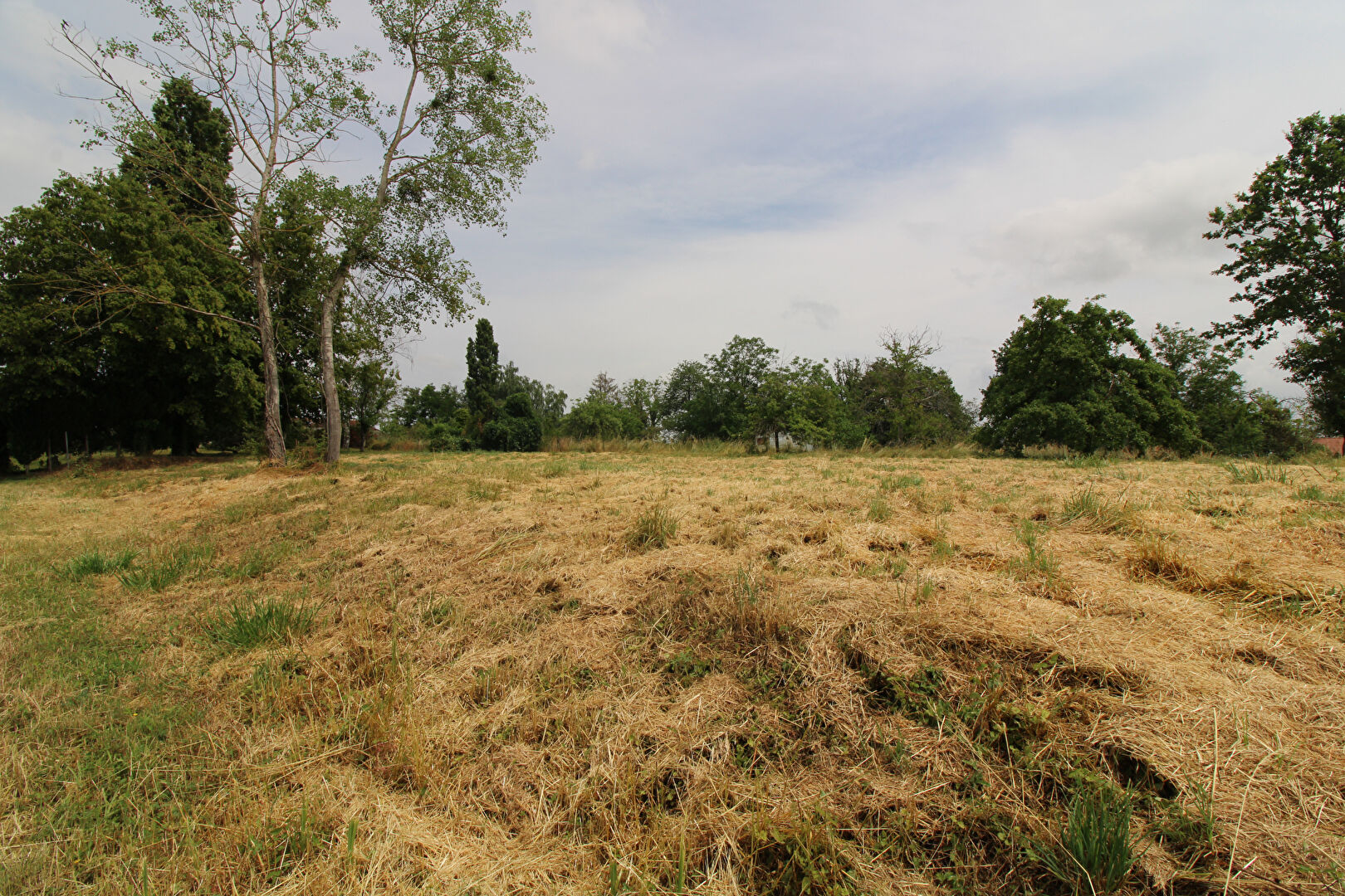 Photo Terrain constructible lot 1 - Longeville sur la Laines image 1/1