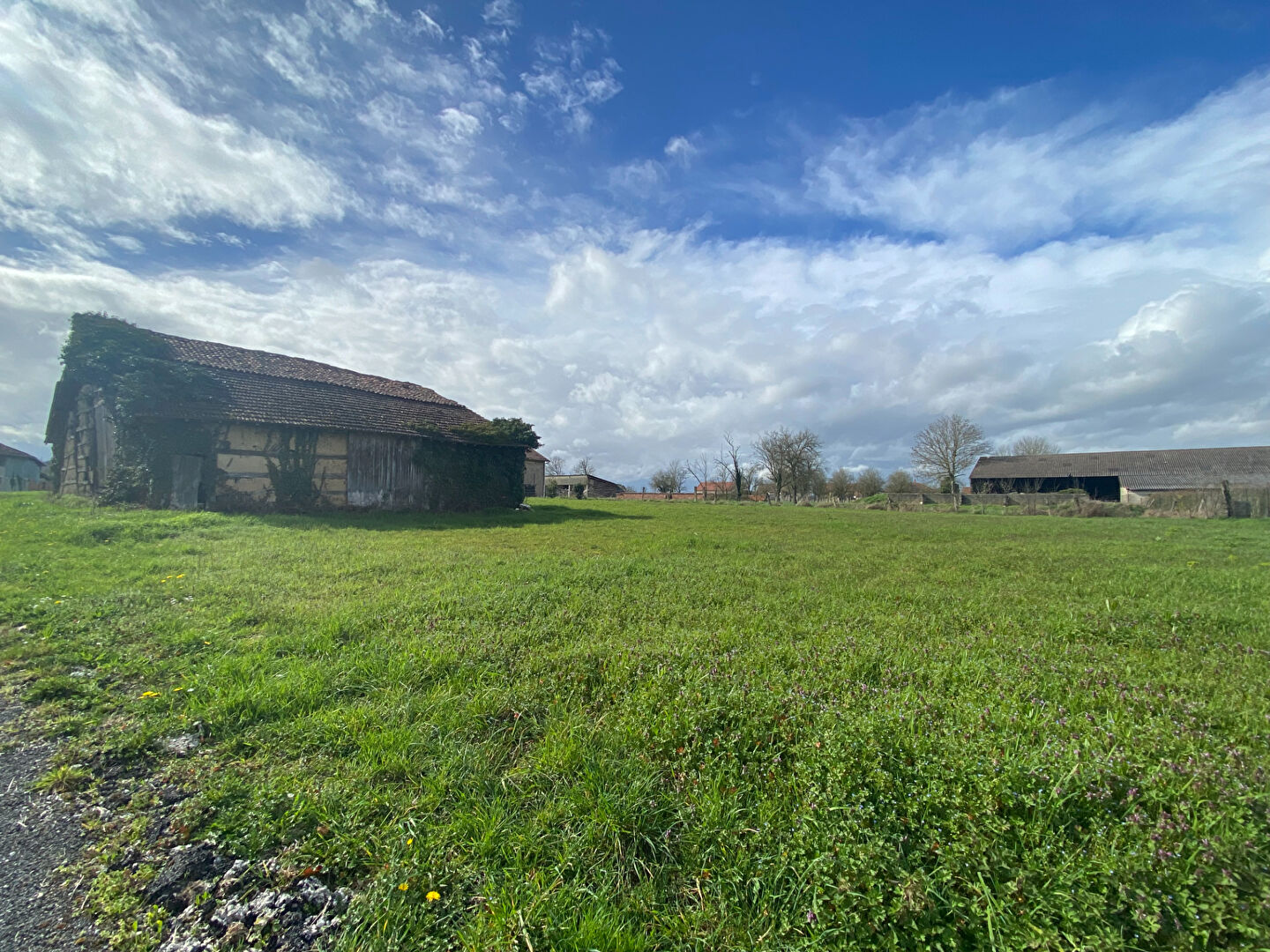 Photo Terrain Louze image 1/2