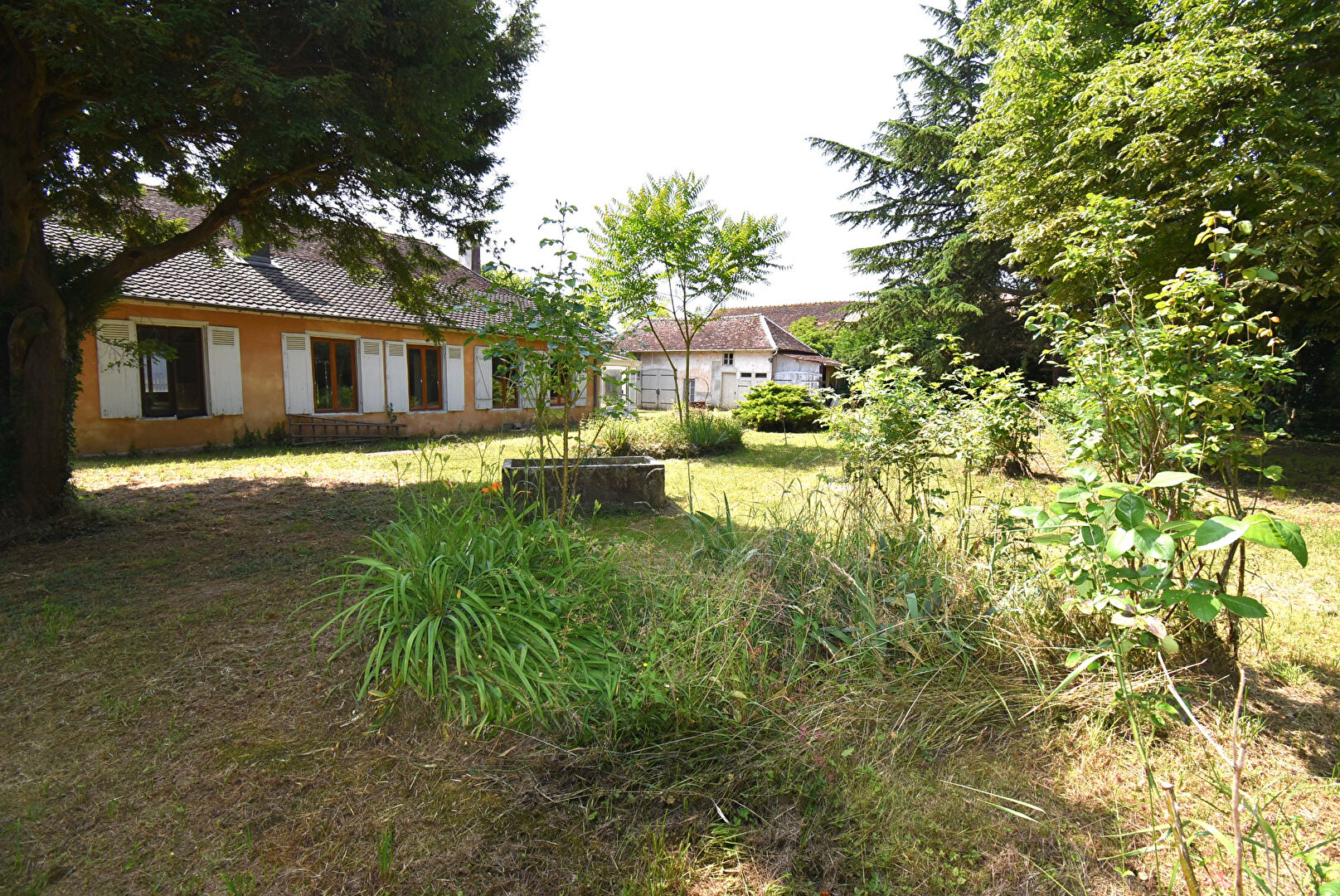 Agence immobilière de Agence des Lacs Brienne Le Chateau - Agence des Lacs