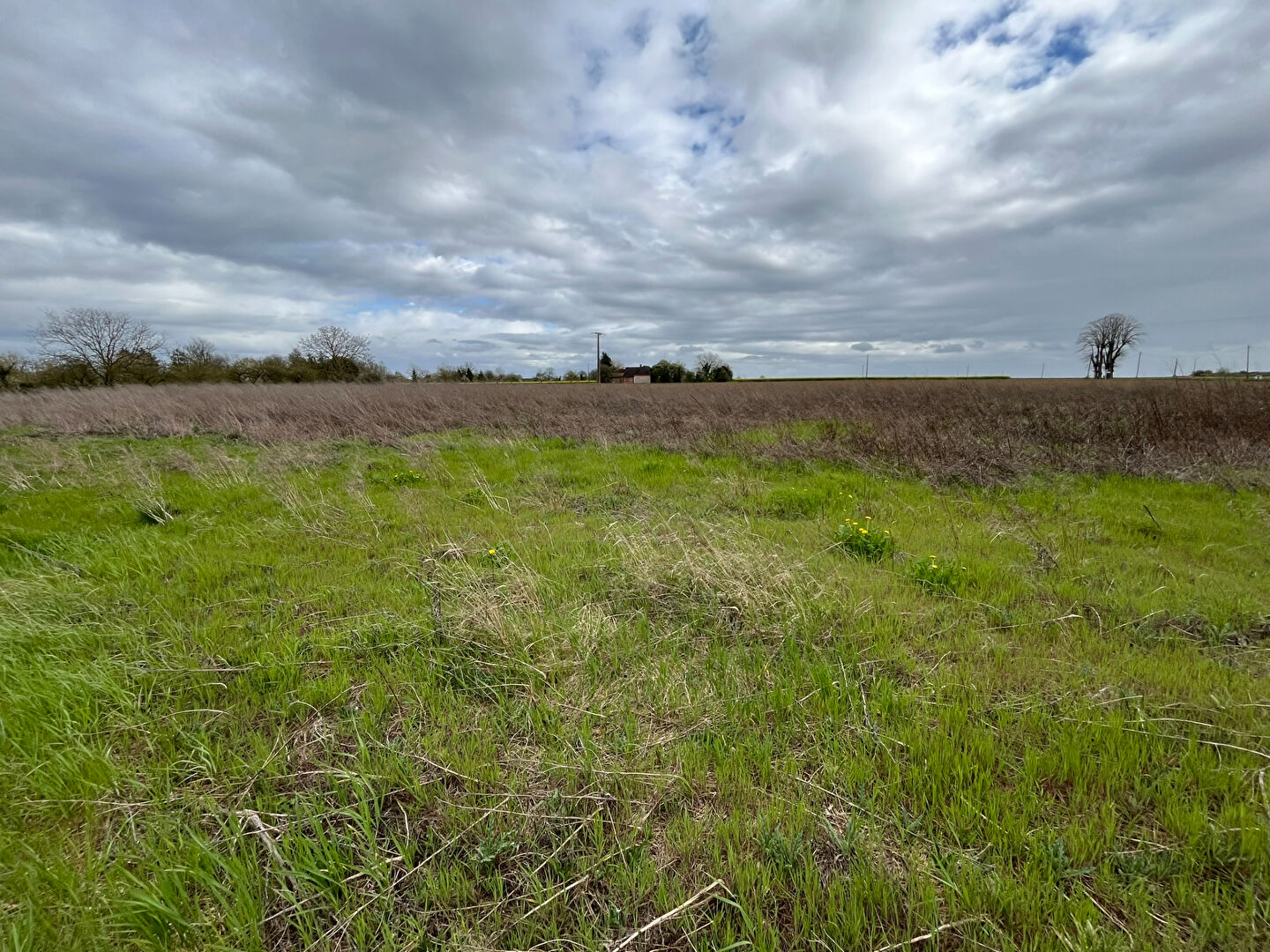 Agence immobilière de Agence des Lacs Brienne Le Chateau - Agence des Lacs
