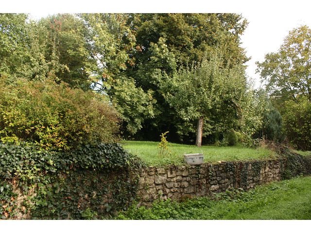 Photo AU COEUR DU PERCHE image 6/6