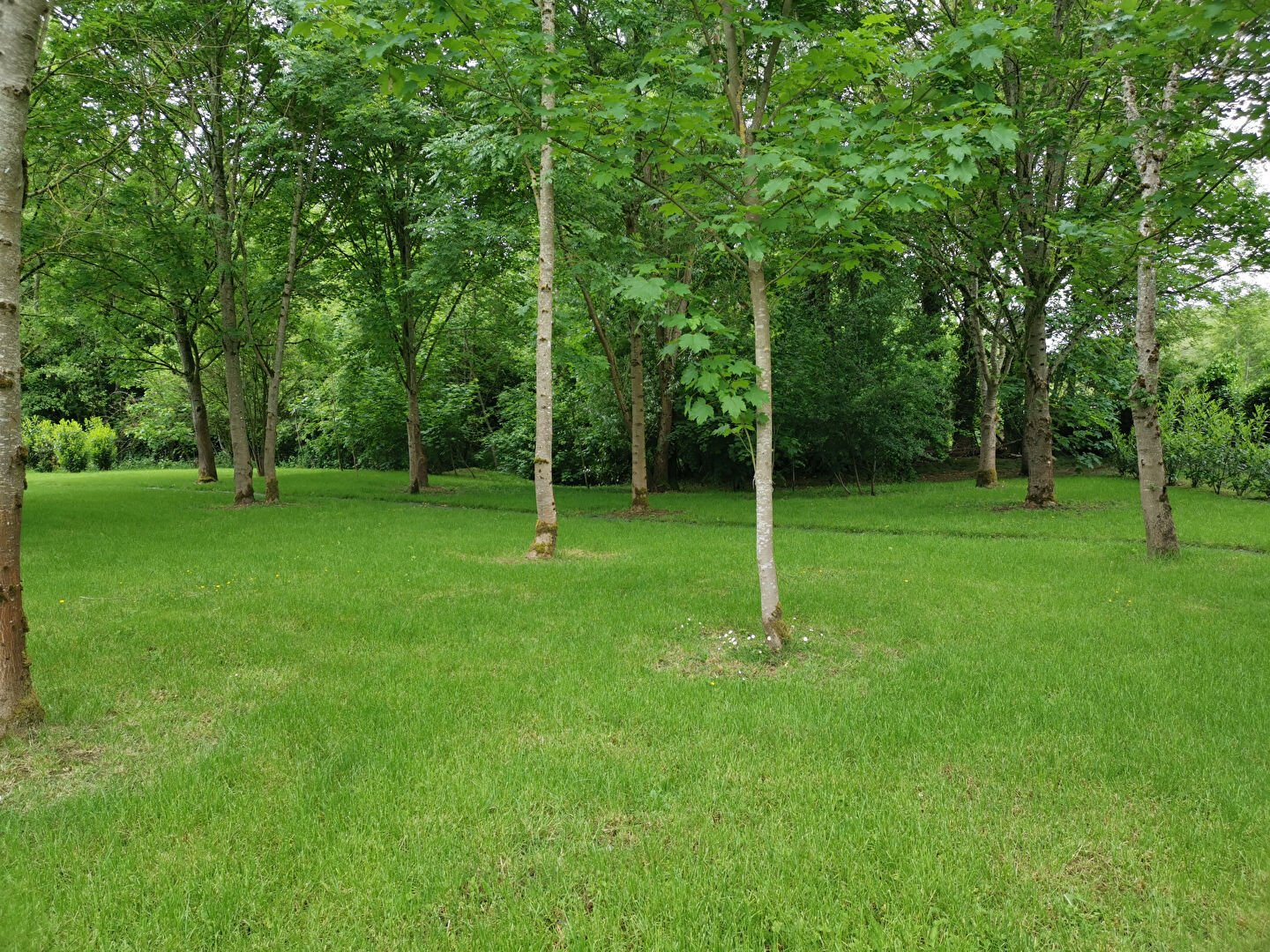 Photo Brou  centre  Terrain de pêche image 3/3