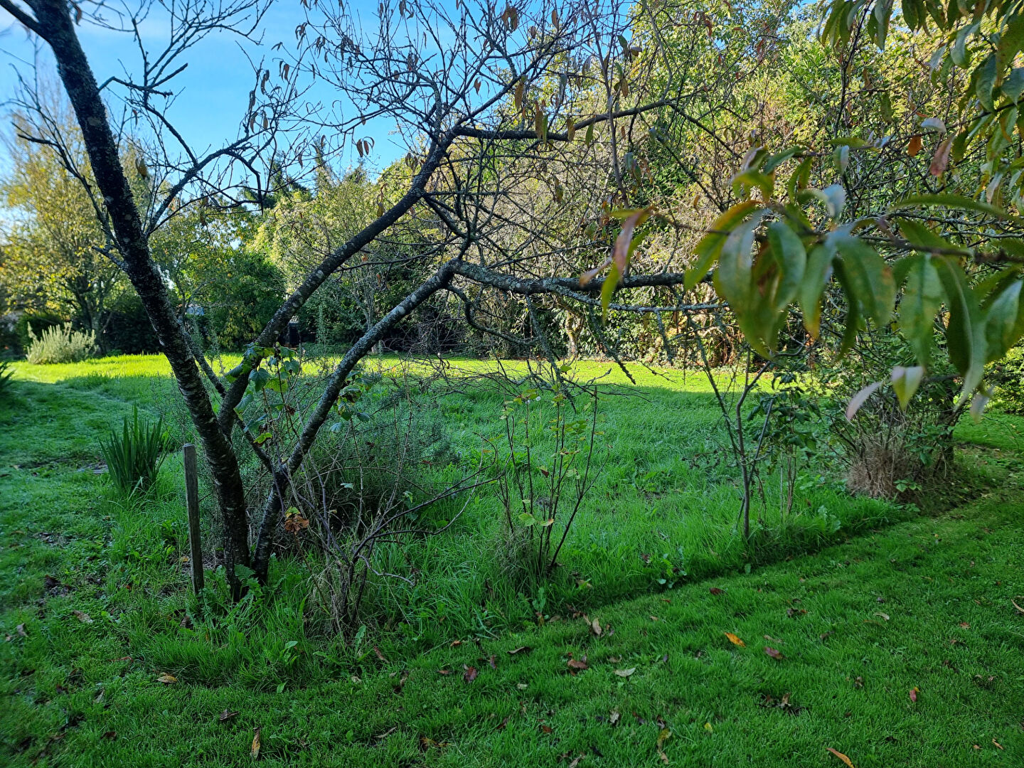 Photo pavillon proche Bellême image 3/4