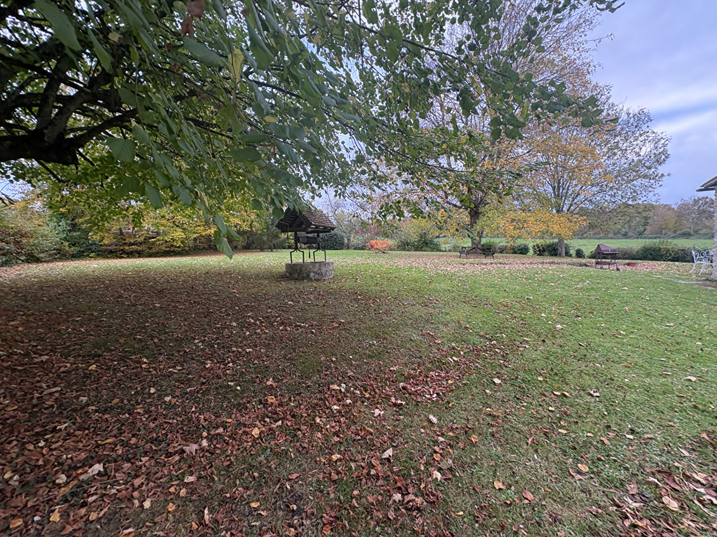 Photo EN CAMPAGNE image 2/6