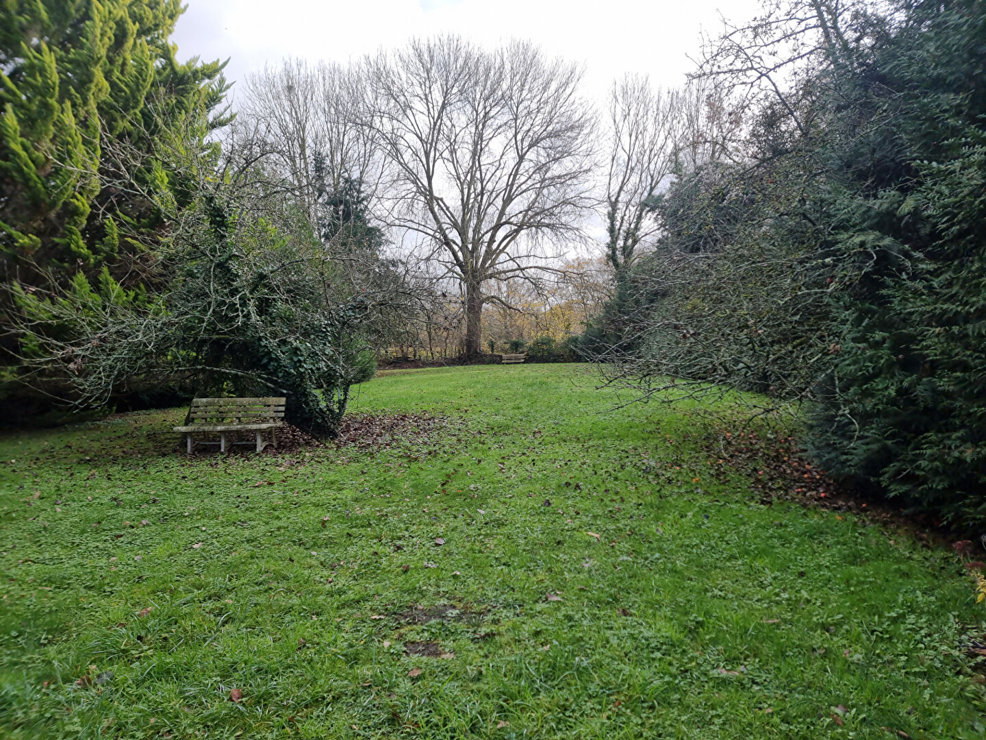 Photo MAISON EN HAMEAU image 3/6