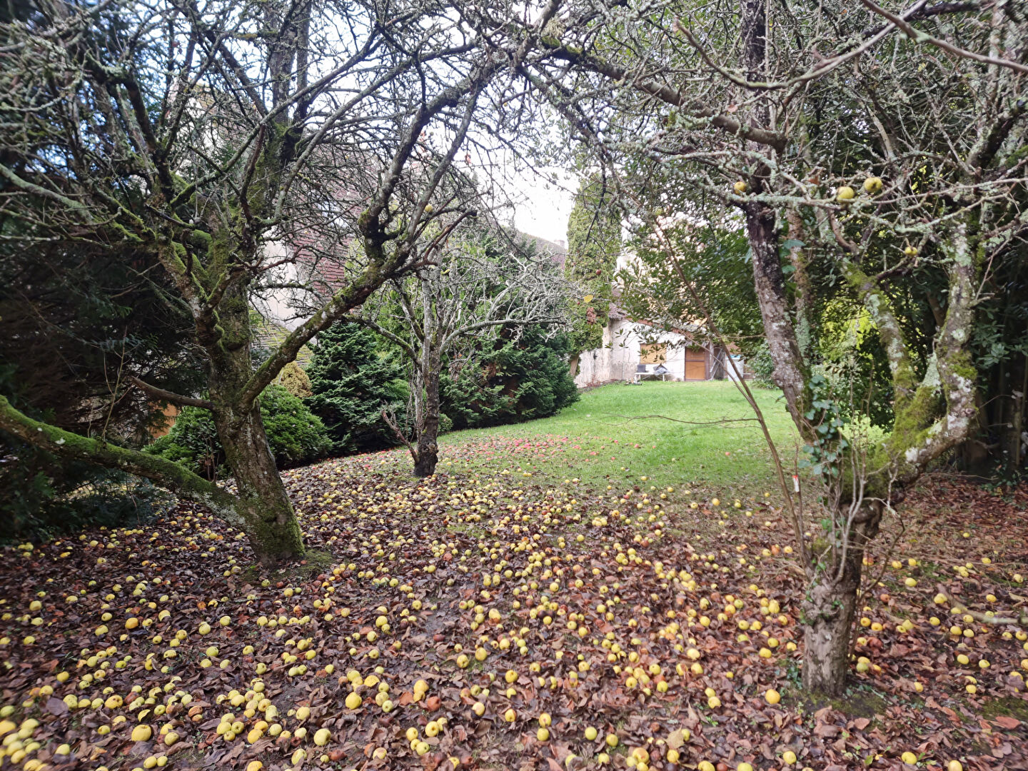 Photo MAISON EN HAMEAU image 4/6