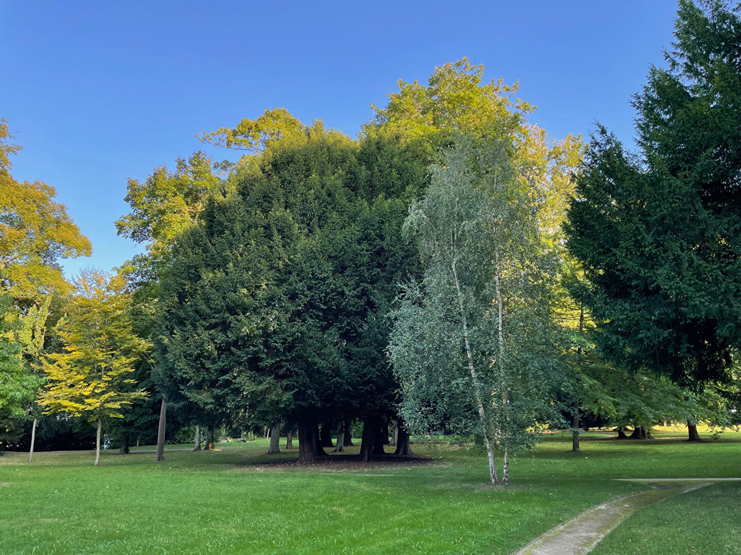 Agence immobilière de AGENCE CHRIS IMMO Clamart - AGENCE CHRIS IMMO