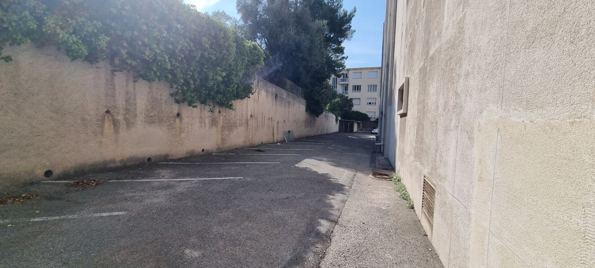 Photo Location bureaux image 5/5