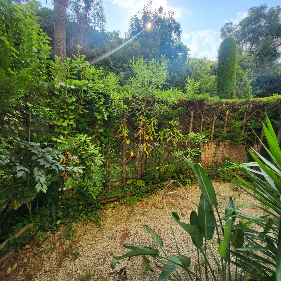 Photo Idéal Investissement image 3/6