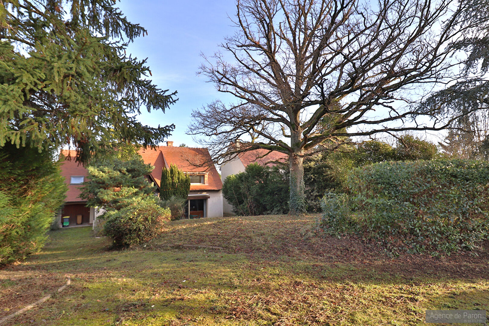 Agence immobilière de AGENCE DE PARON Verrieres Le Buisson - AGENCE DE PARON