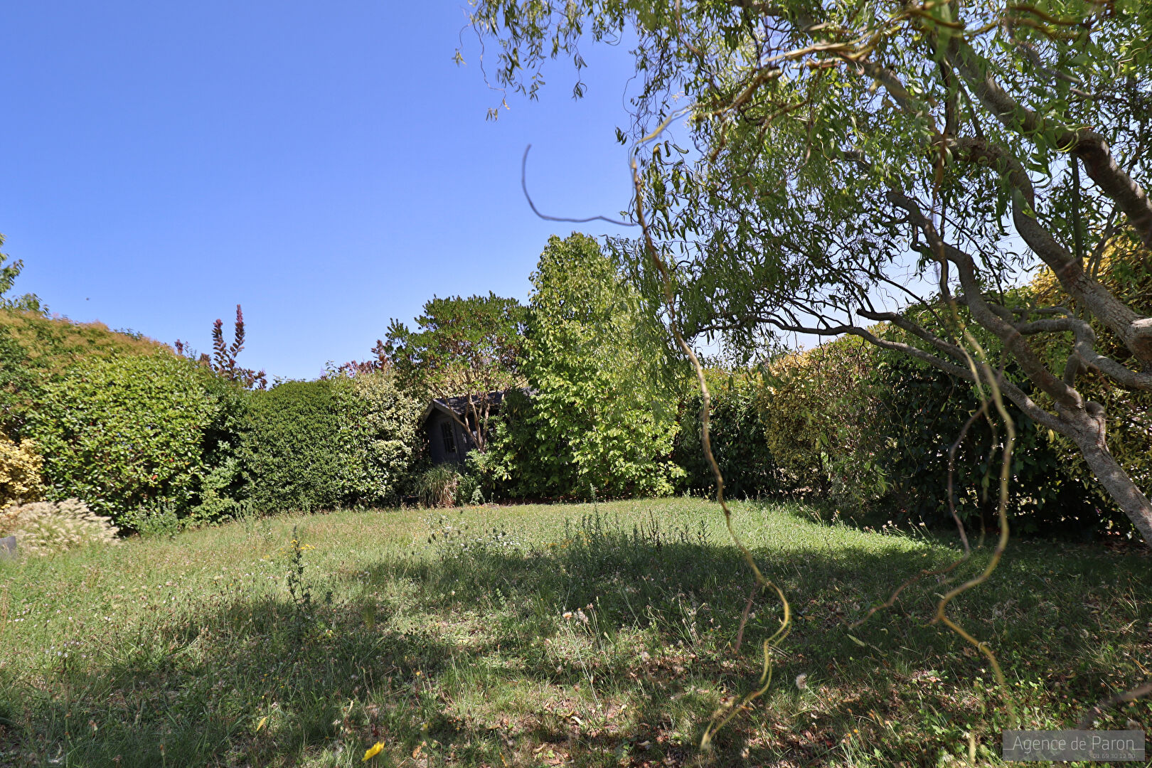 Terrain Verrieres Le Buisson 631 m²