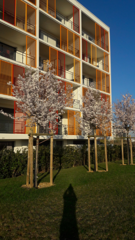 Photo Appartement Type III - Chasseneuil du Poitou image 5/5