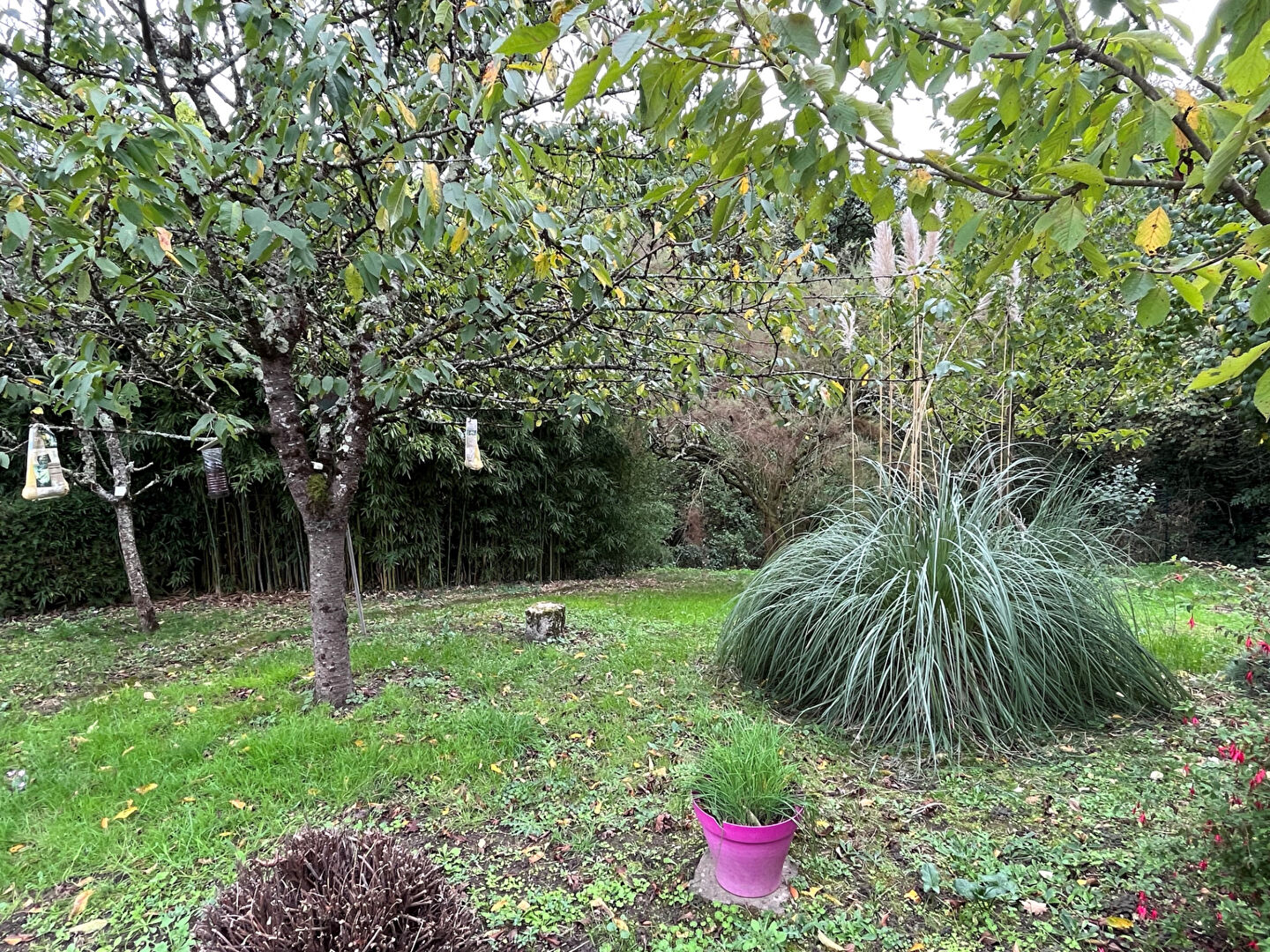 Photo QUEAUX  Maison de bourg et dépendances image 4/6