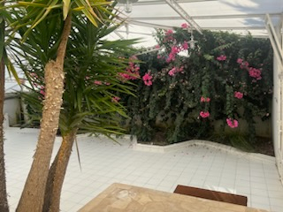 Photo Appart  BUXEROLLES 164 m2avec jardin d'hiver de 160 m² image 2/6