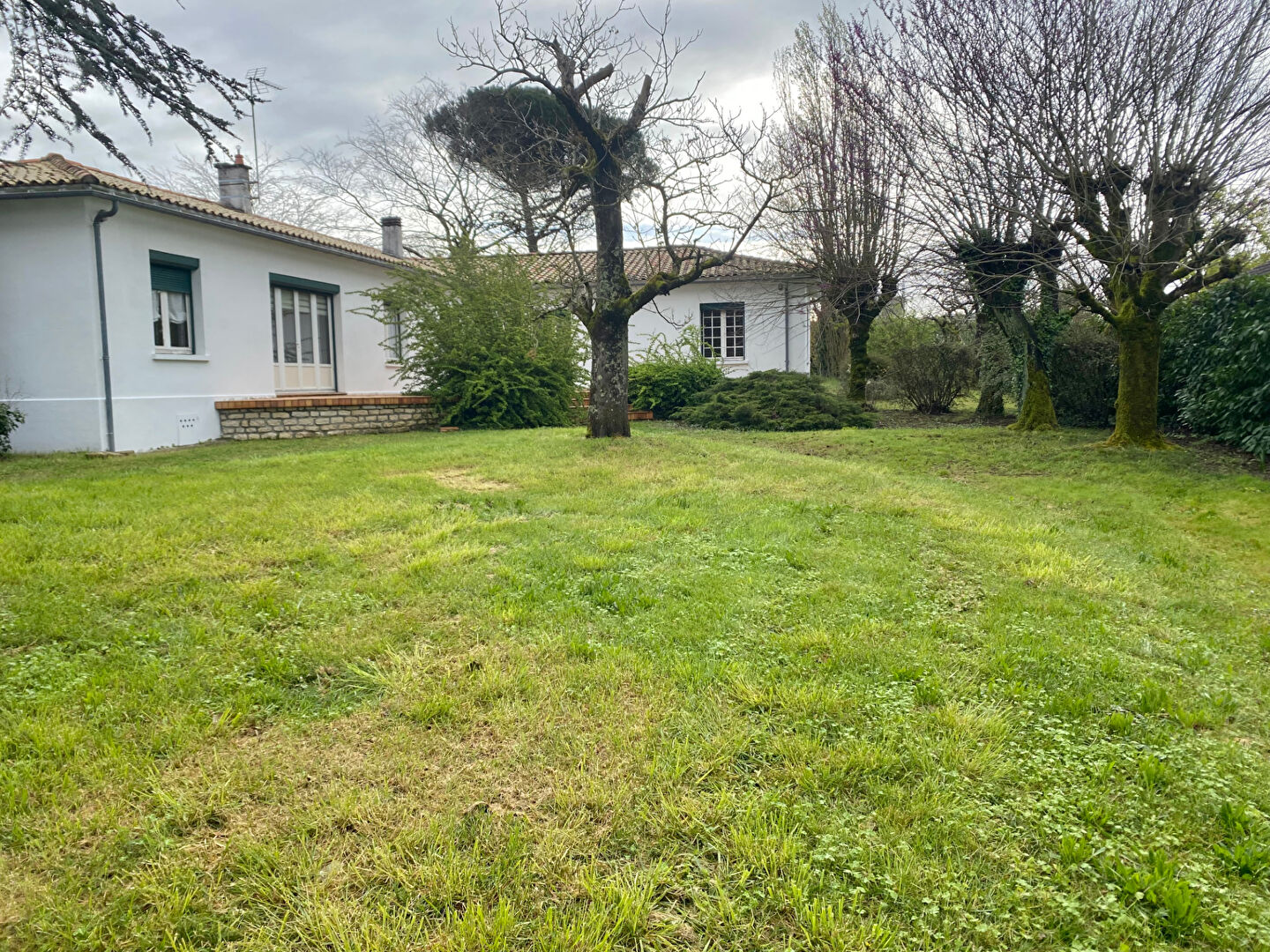 Agence immobilière de AGENCE AMI NIORT