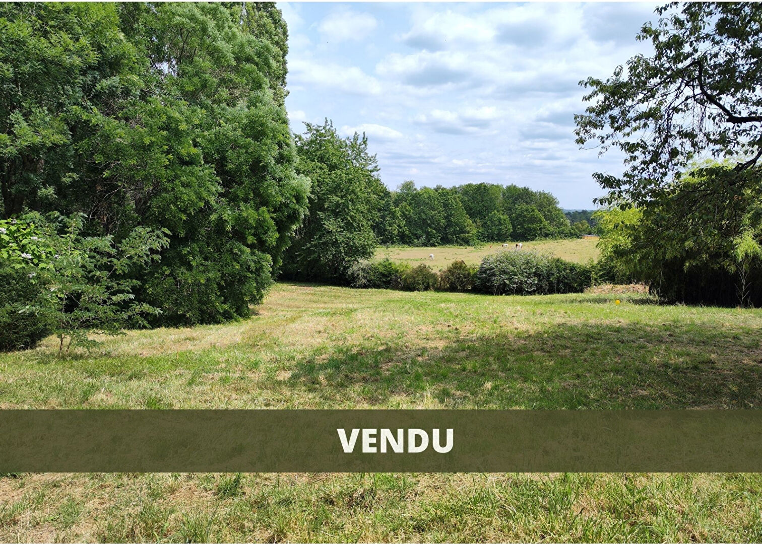 Agence immobilière de AGENCE DE LA FORET L'etang-la-ville - AGENCE DE LA FORET