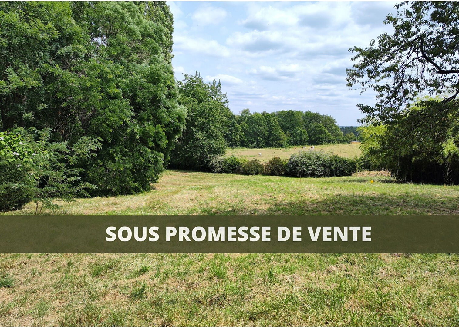 Magnifique terrain en bordure de forêt
