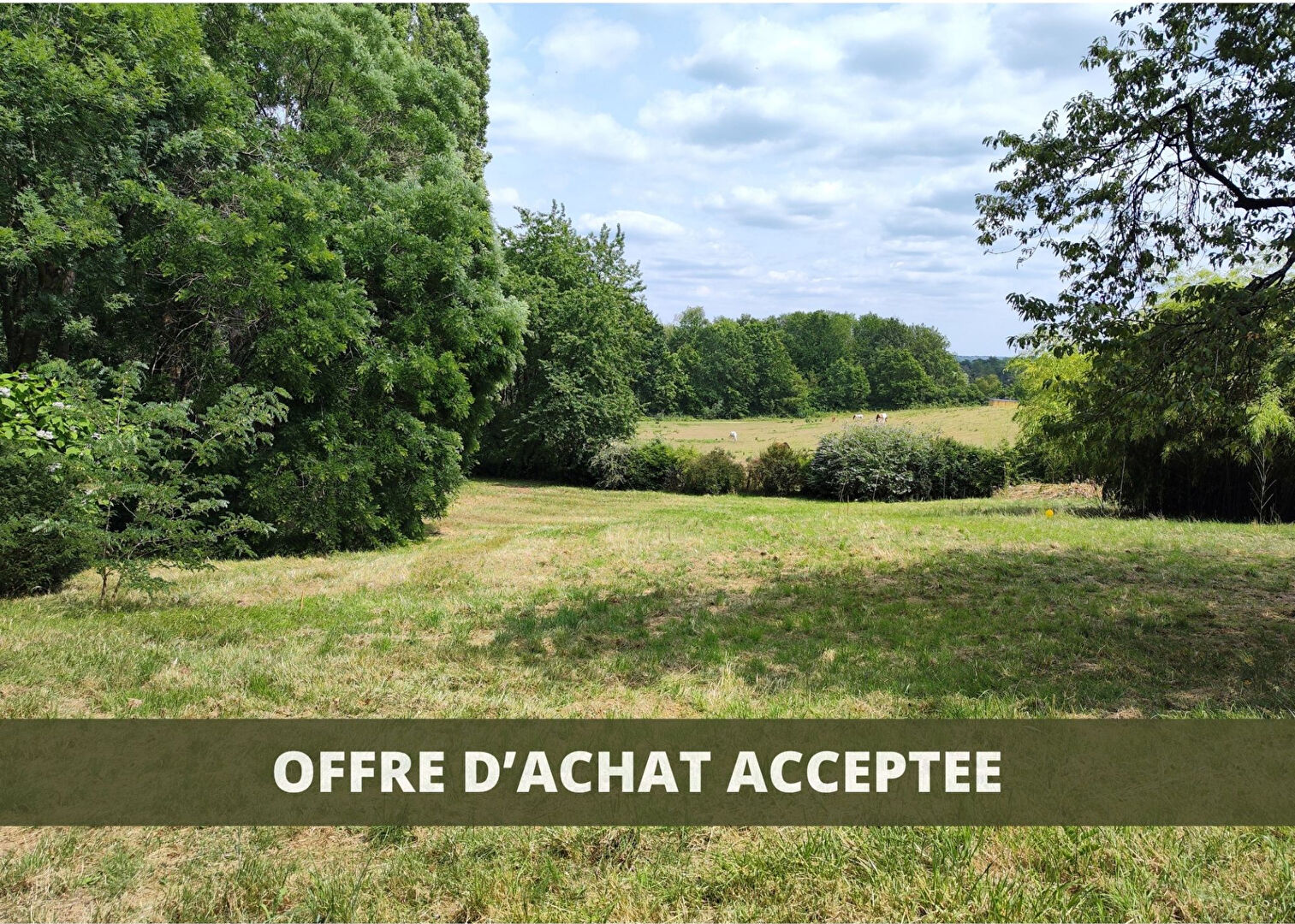 Magnifique terrain en bordure de forêt
