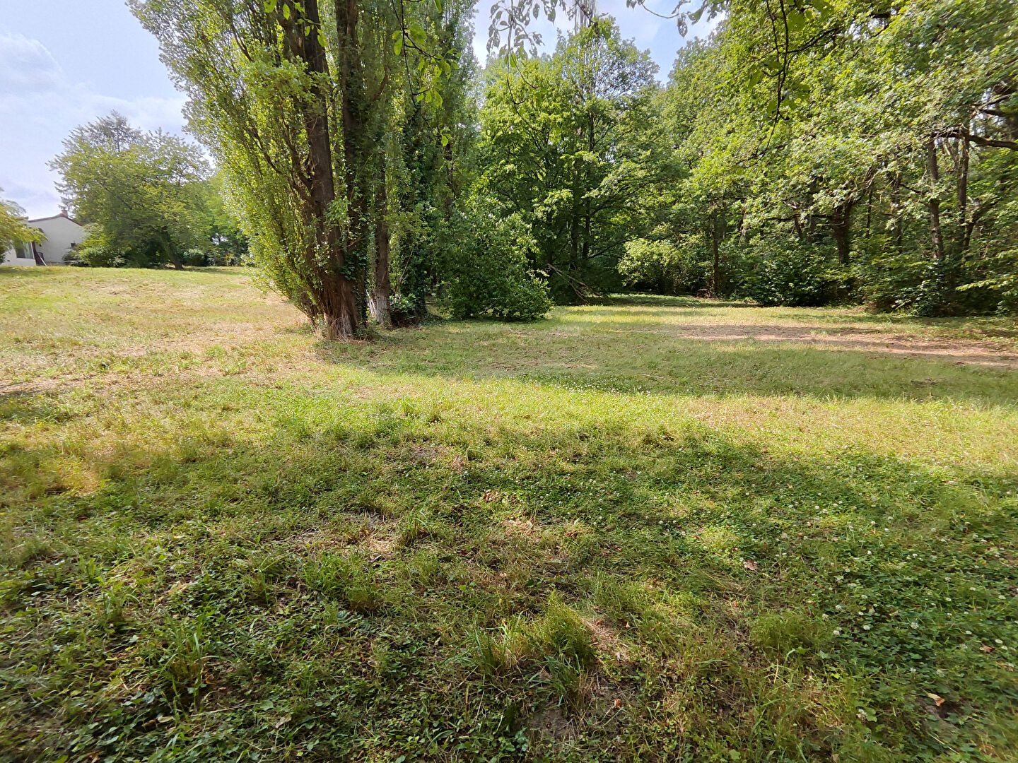 Photo Magnifique terrain en bordure de forêt image 6/6