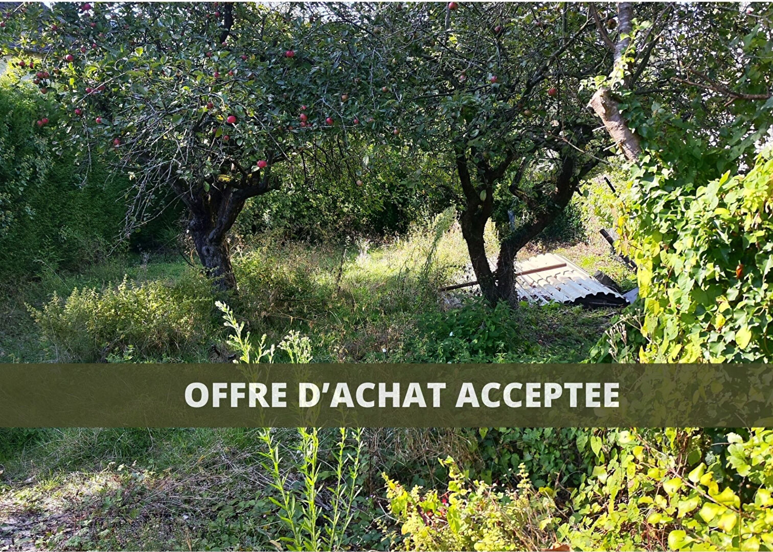 Agence immobilière de AGENCE DE LA FORET L'etang-la-ville - AGENCE DE LA FORET