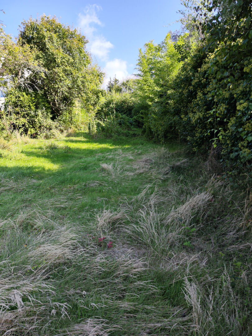 Agence immobilière de AGENCE DE LA FORET L'etang-la-ville - AGENCE DE LA FORET