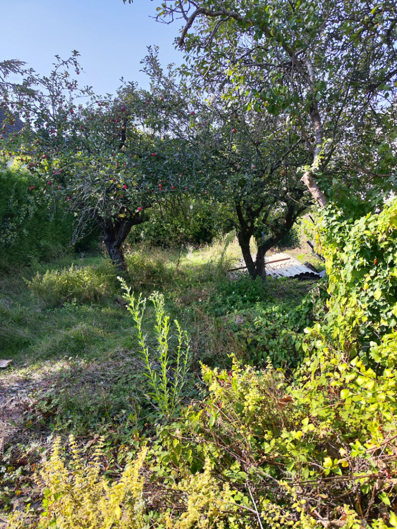 Photo Terrain à bâtir pour maison d'environ 130m2 image 2/3