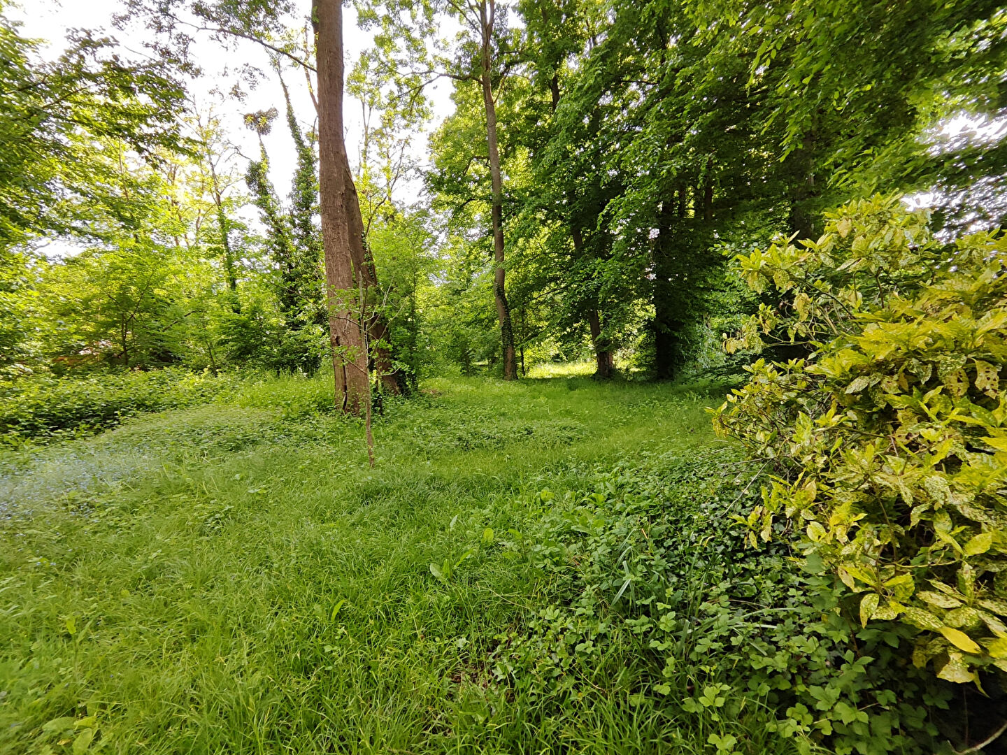 Photo Maison familiale très bien isolée,  chauffée en géothermie image 5/6