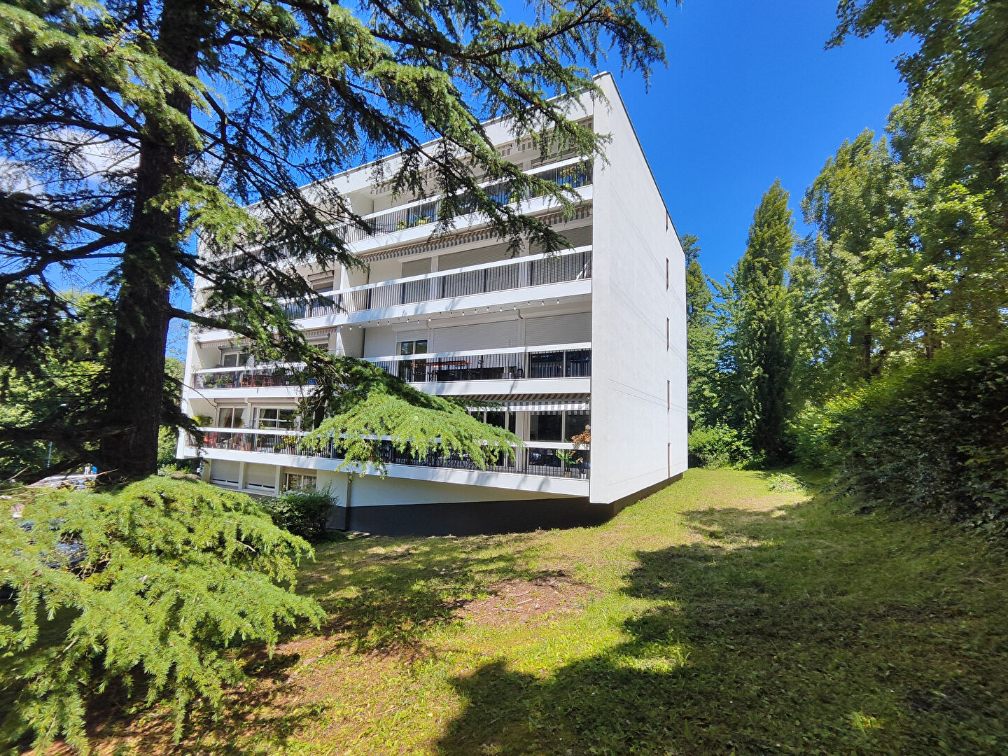 Agence immobilière de AGENCE DE LA FORET L'etang-la-ville - AGENCE DE LA FORET