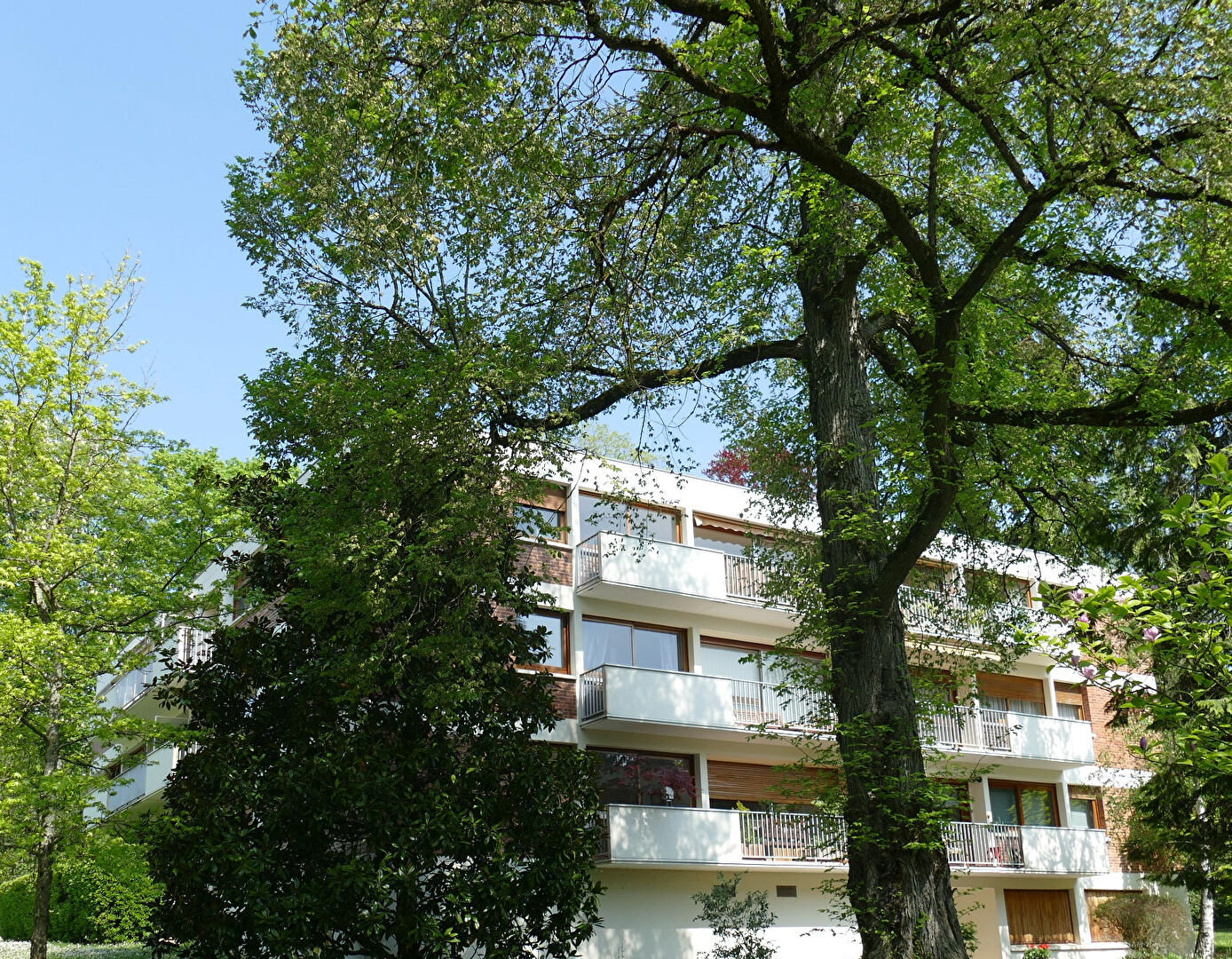 Photo Appartement 4 pièces à rafraîchir dans une résidence de standing image 2/6
