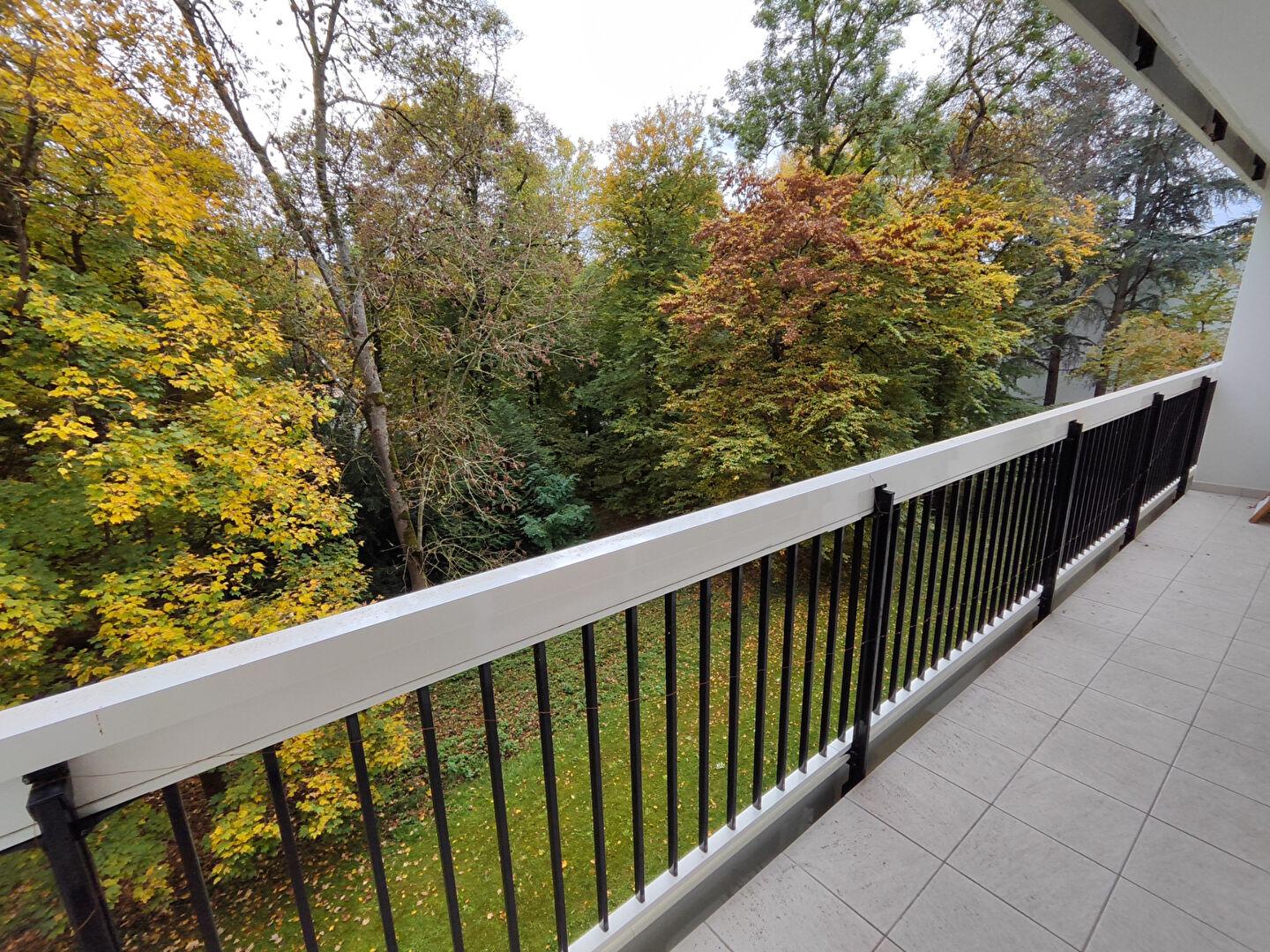 Agréable appartement 4 pièces avec vue sur parc arboré