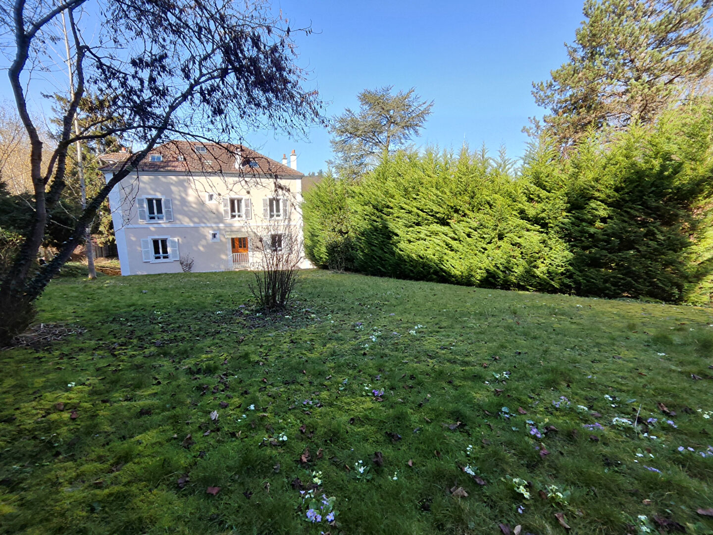 Agence immobilière de AGENCE DE LA FORET L'etang-la-ville - AGENCE DE LA FORET