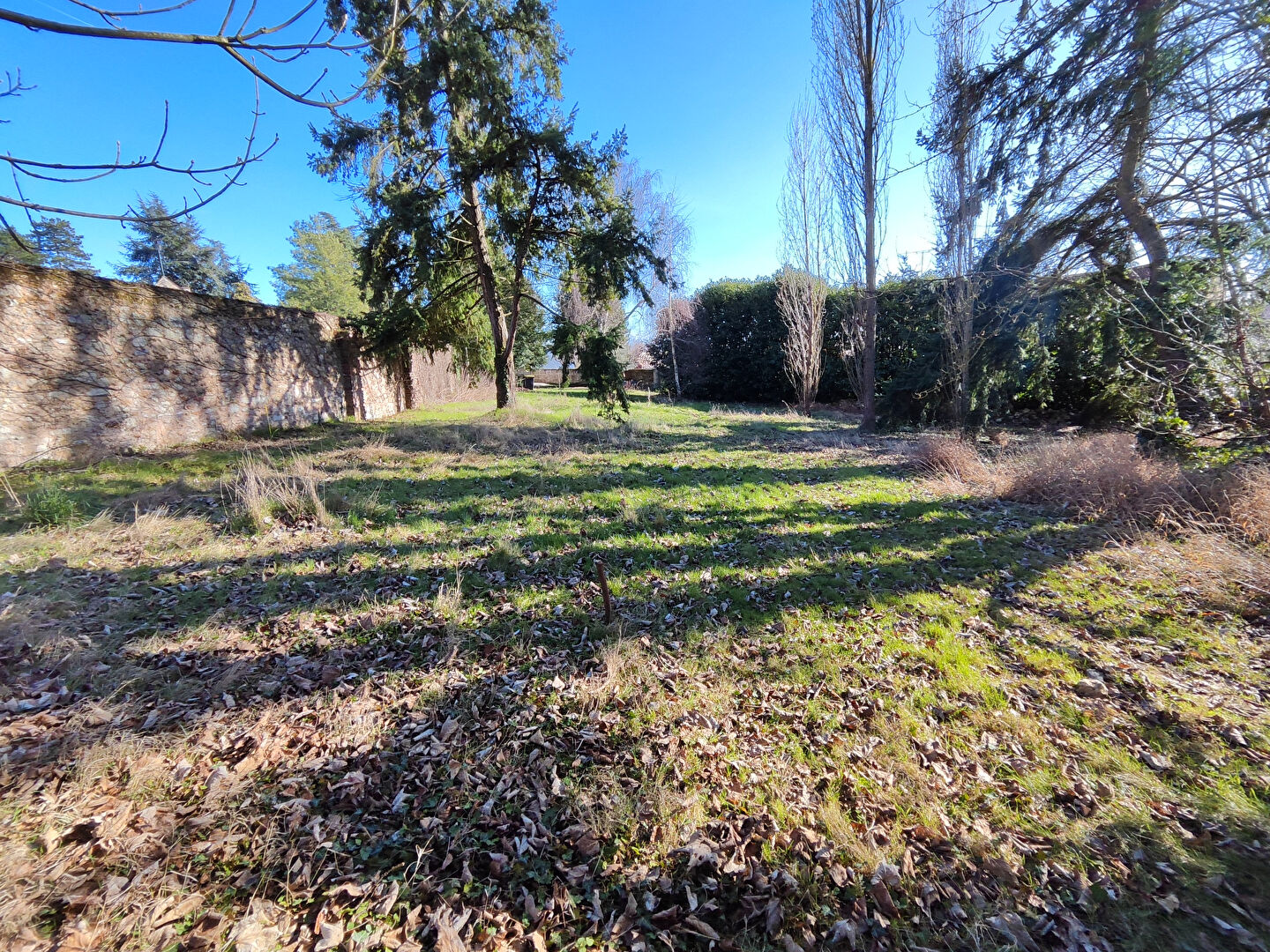 Agence immobilière de AGENCE DE LA FORET L'etang-la-ville - AGENCE DE LA FORET