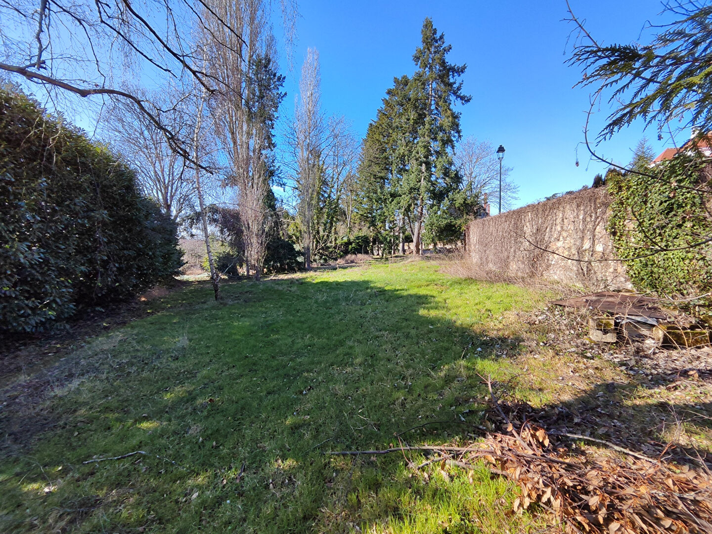 Agence immobilière de AGENCE DE LA FORET L'etang-la-ville - AGENCE DE LA FORET