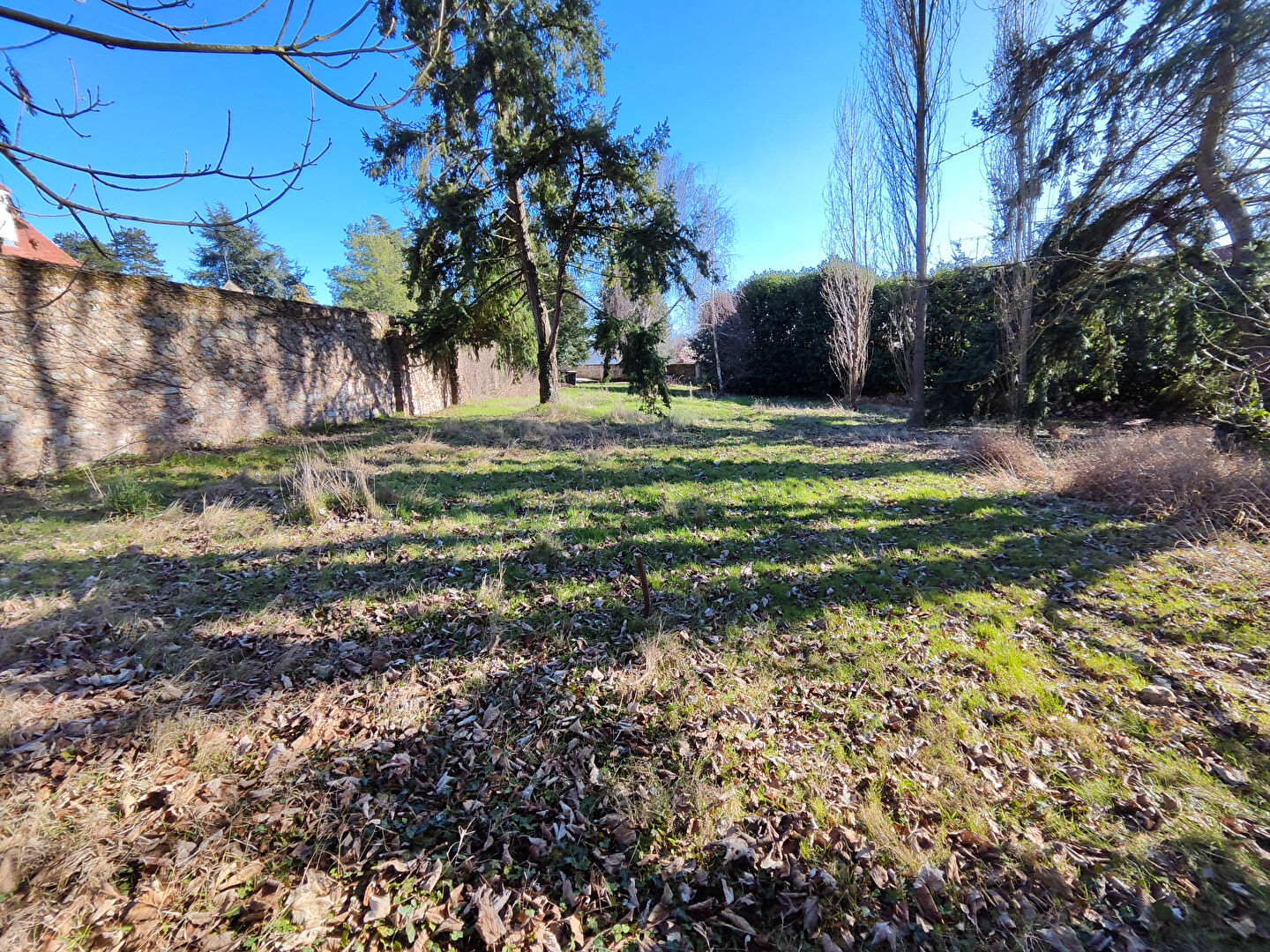 Agence immobilière de AGENCE DE LA FORET L'etang-la-ville - AGENCE DE LA FORET