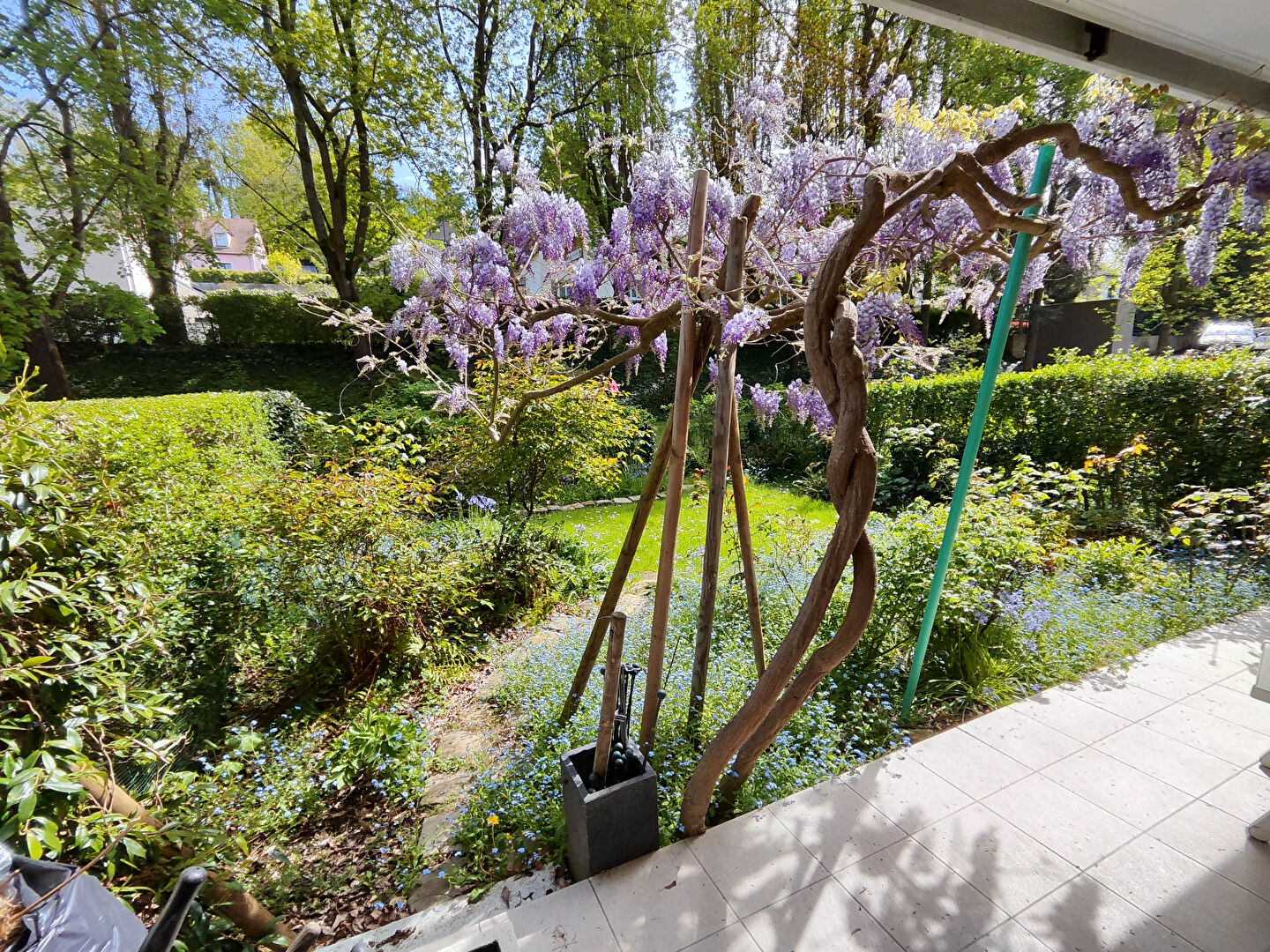 Agence immobilière de AGENCE DE LA FORET L'etang-la-ville - AGENCE DE LA FORET