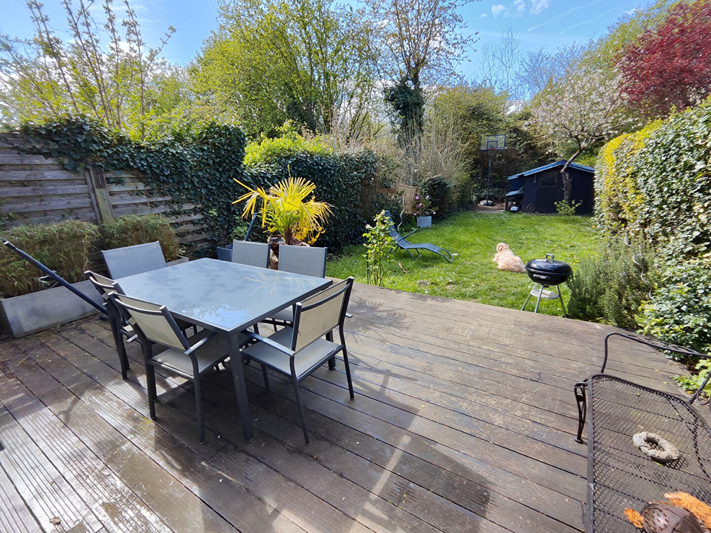 Agence immobilière de AGENCE DE LA FORET L'etang-la-ville - AGENCE DE LA FORET