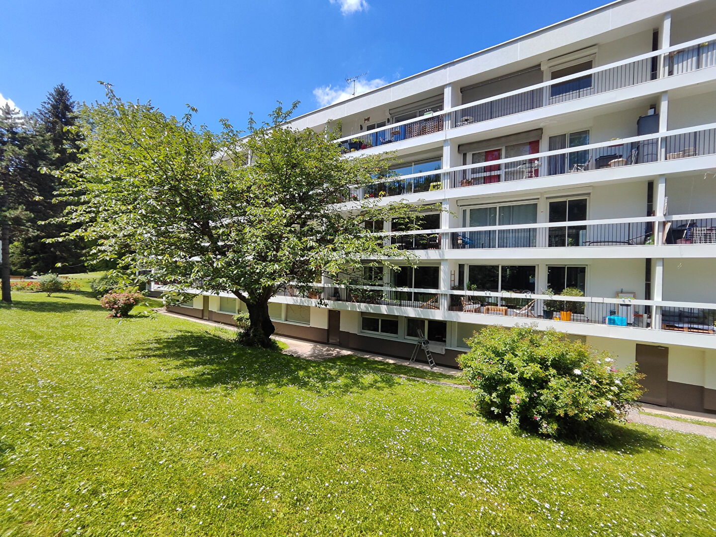 Agence immobilière de AGENCE DE LA FORET L'etang-la-ville - AGENCE DE LA FORET