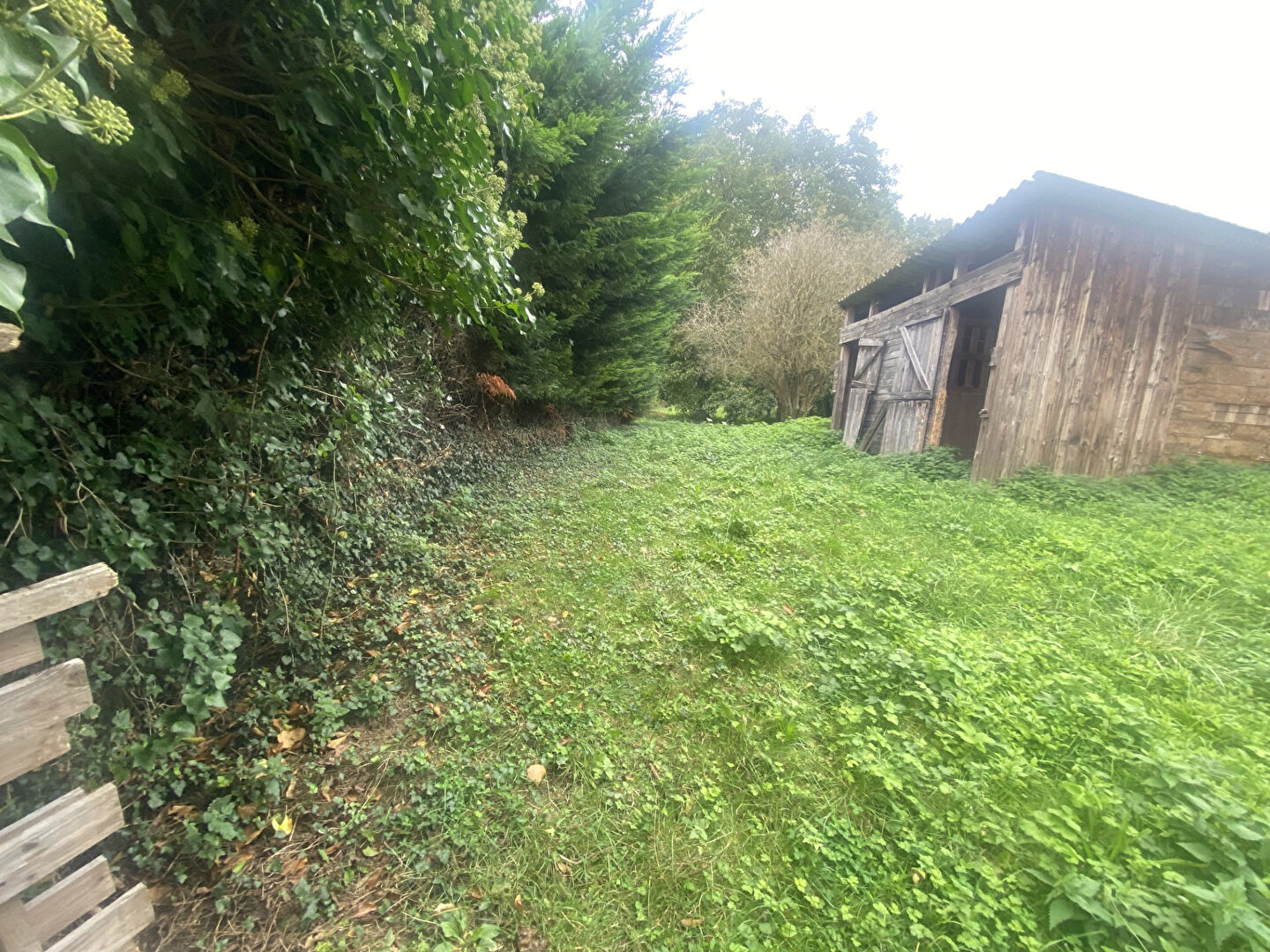 Photo Terrain Les Andelys 1056 m2 image 2/3