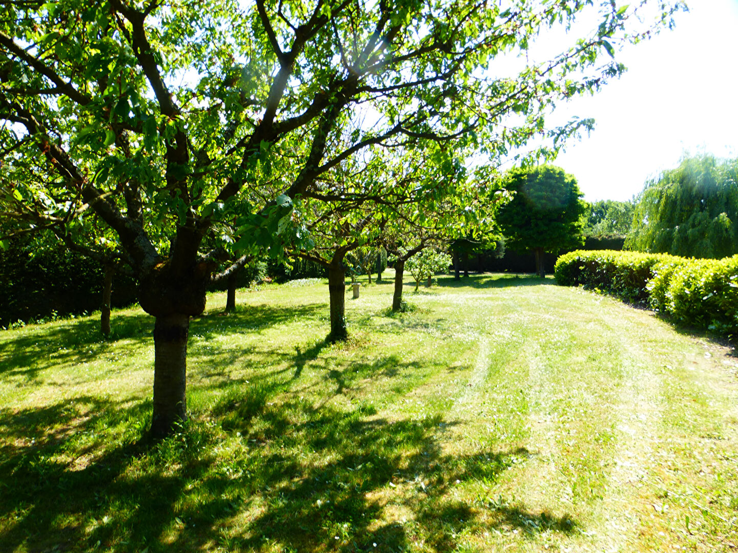 Photo HERBEVILLE -Village Classé image 2/5
