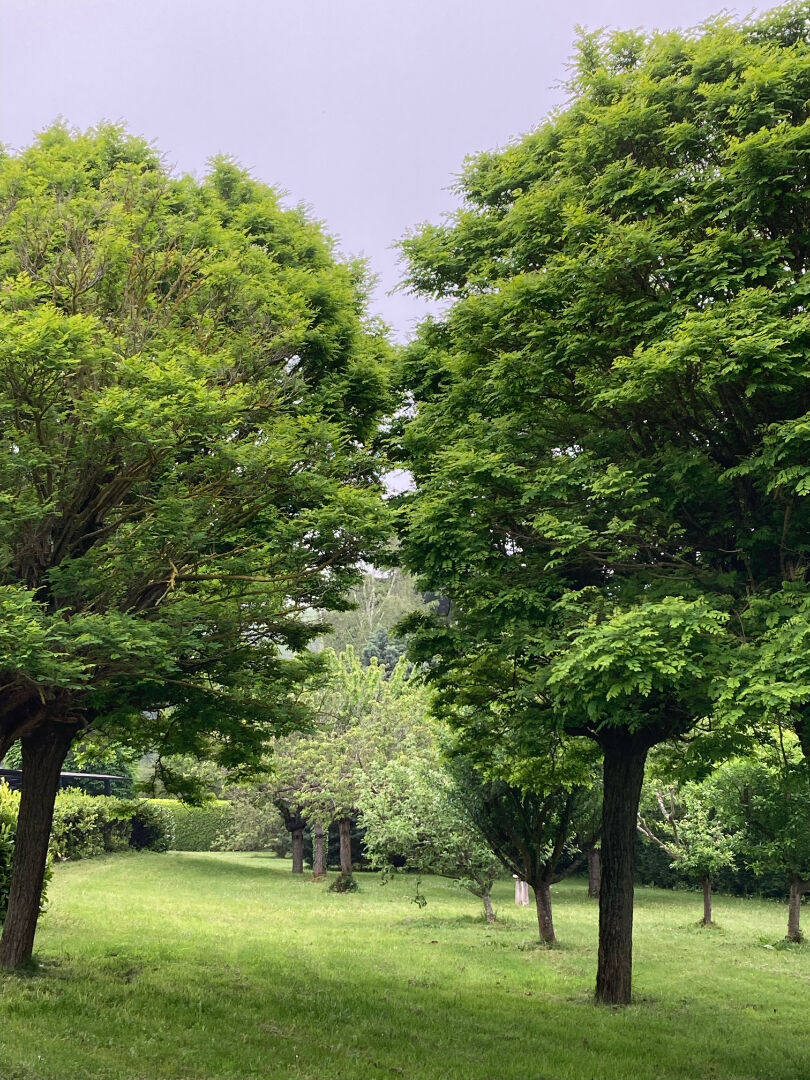 Photo HERBEVILLE -Village Classé image 5/5