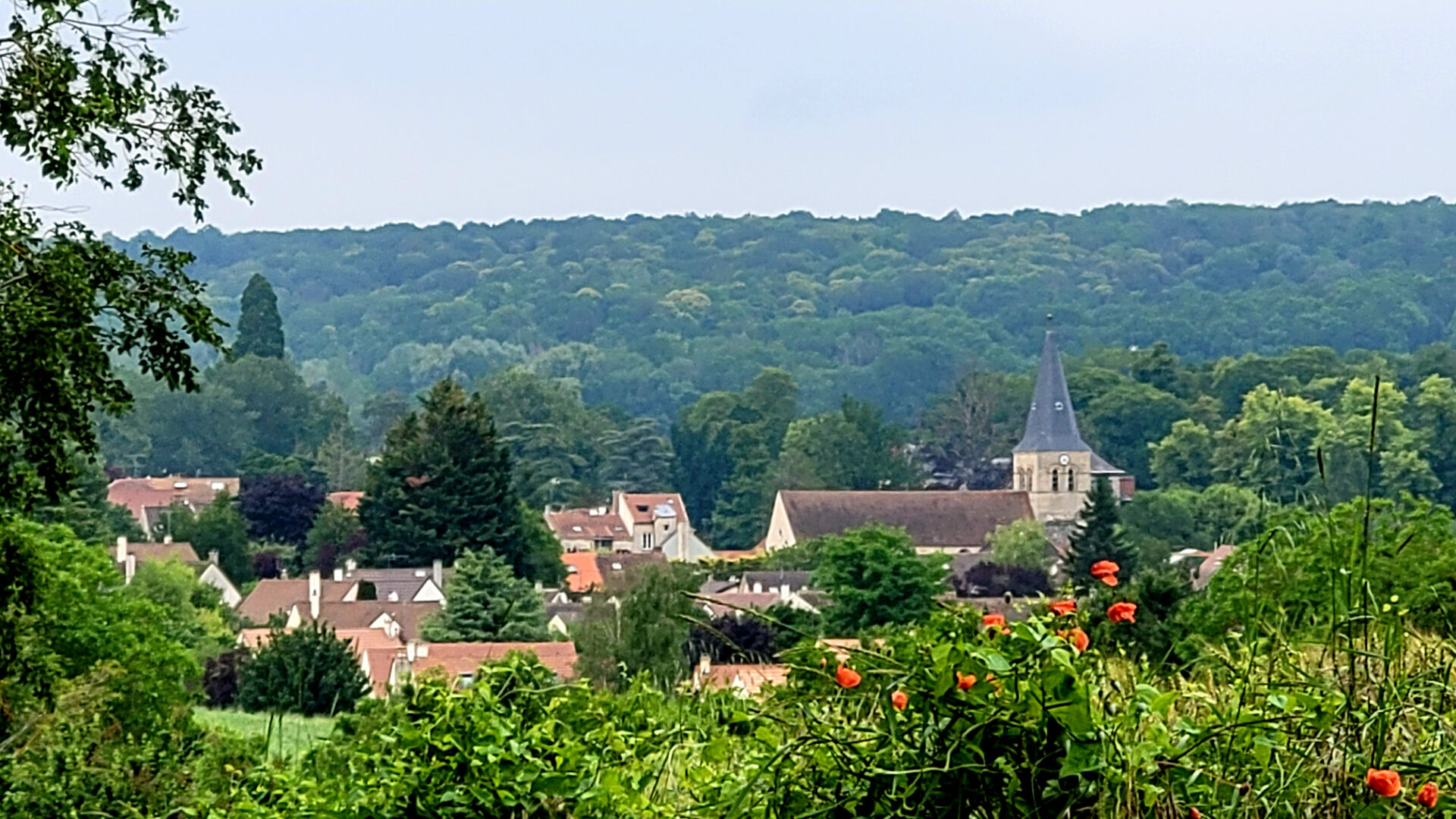 Photo LOCAL COMMERCIAL - CENTRE CRESPIERES image 4/6