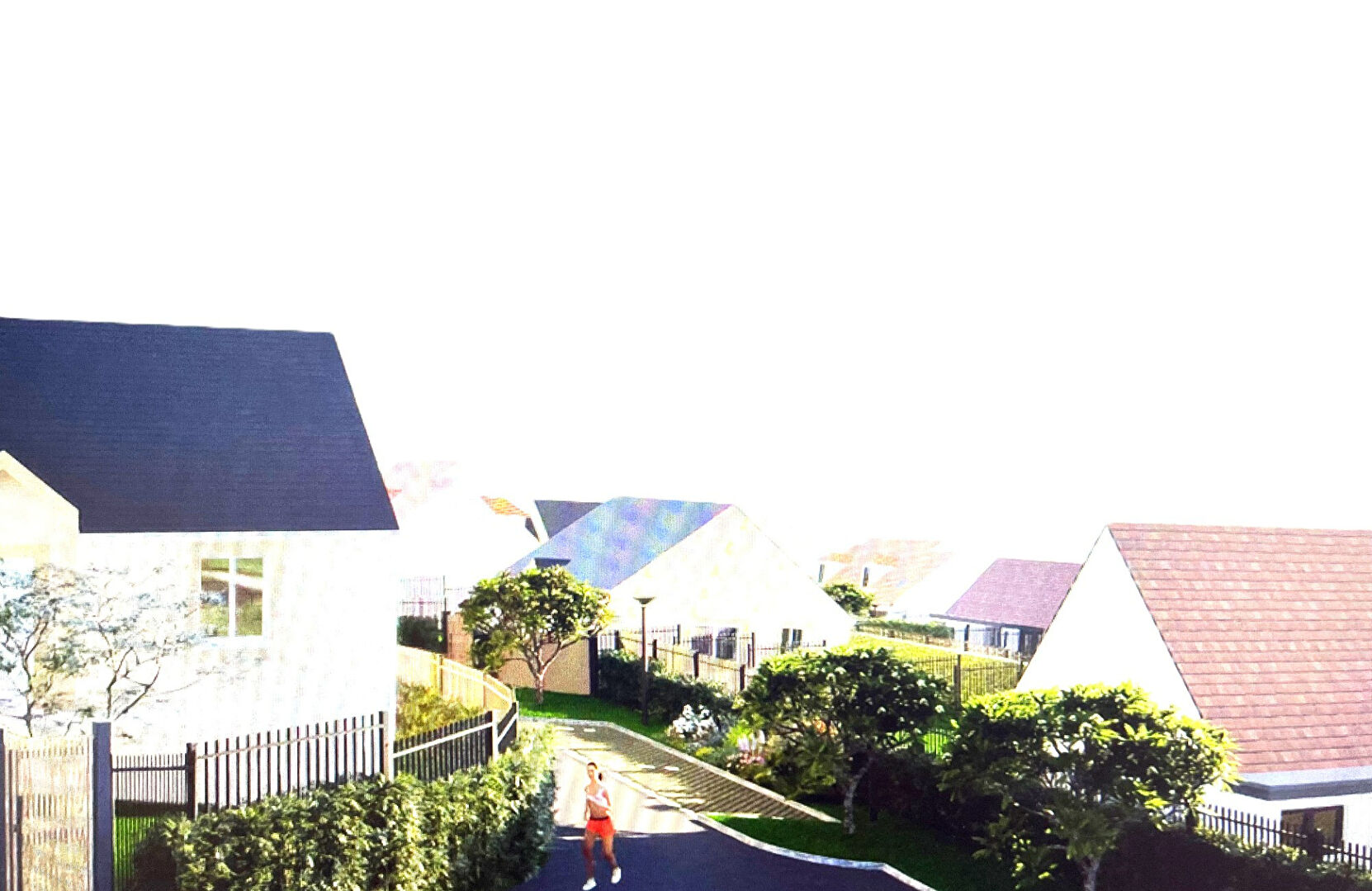 Photo MAULE image 2/4