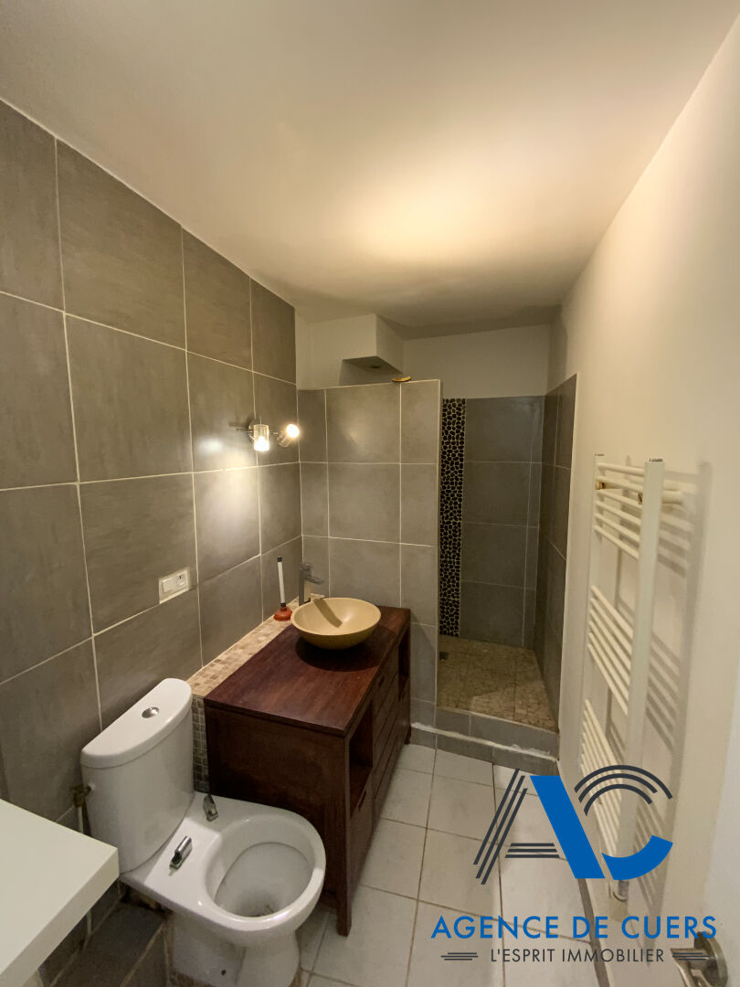 Photo Appartement  2 pièces Avec locataire. image 6/6