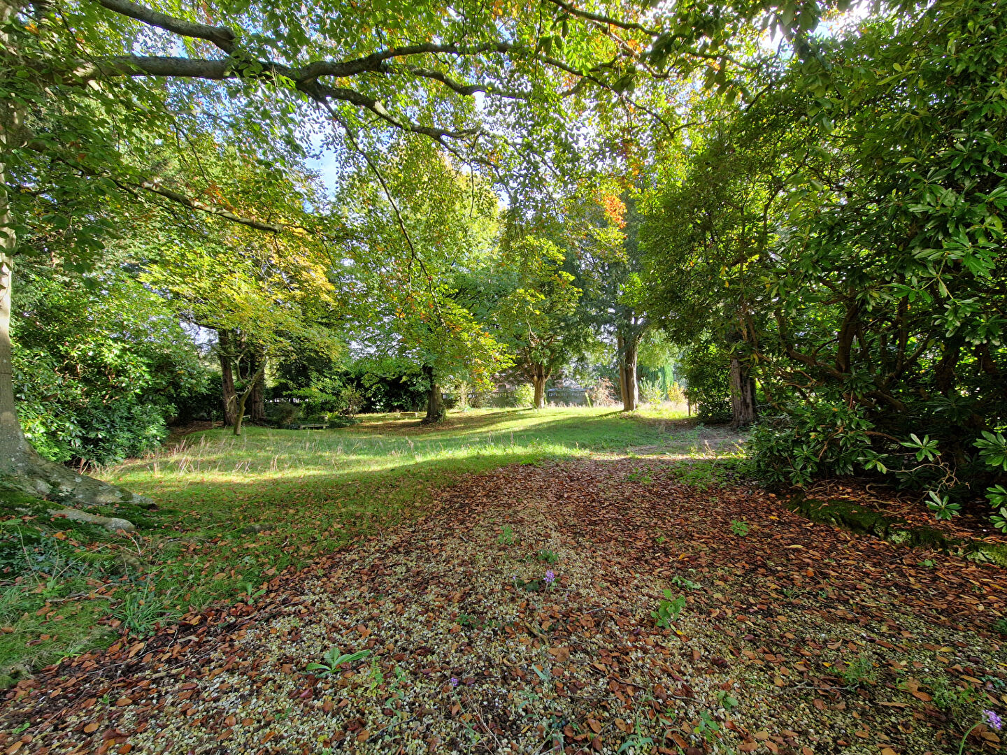 Photo Demeure Franqueville Saint Pierre 10 pièce(s) 278 m2 image 2/6