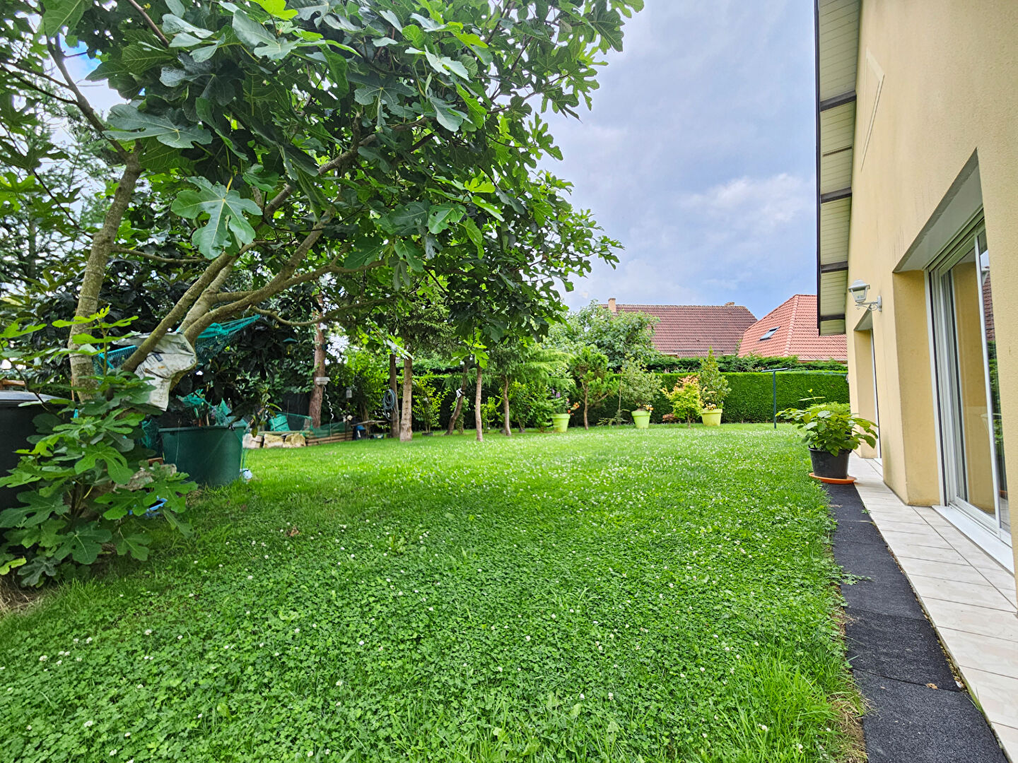 Photo Maison PLAIN PIED  6 pièce(s) 280 m2 image 5/6