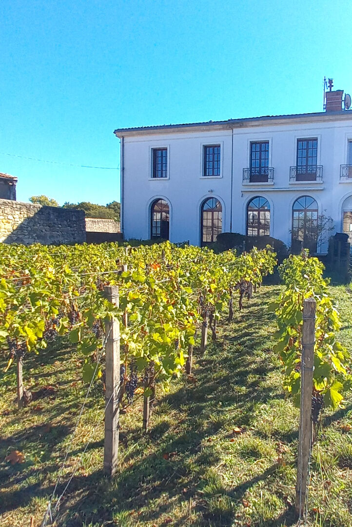Photo Maison Saint Vivien De Medoc 7 pièce(s) 200 m2 - piscine et cave image 2/6