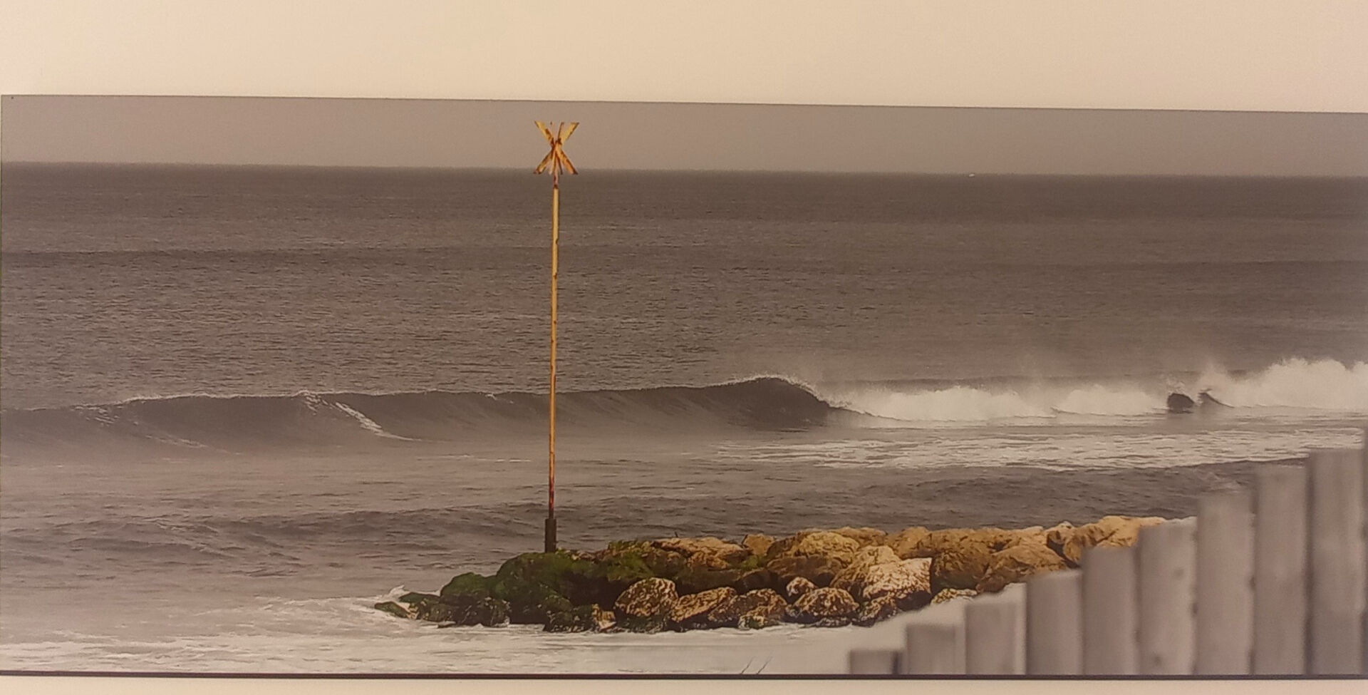 Agence immobilière de Agence Villas Médoc Vendays Montalivet