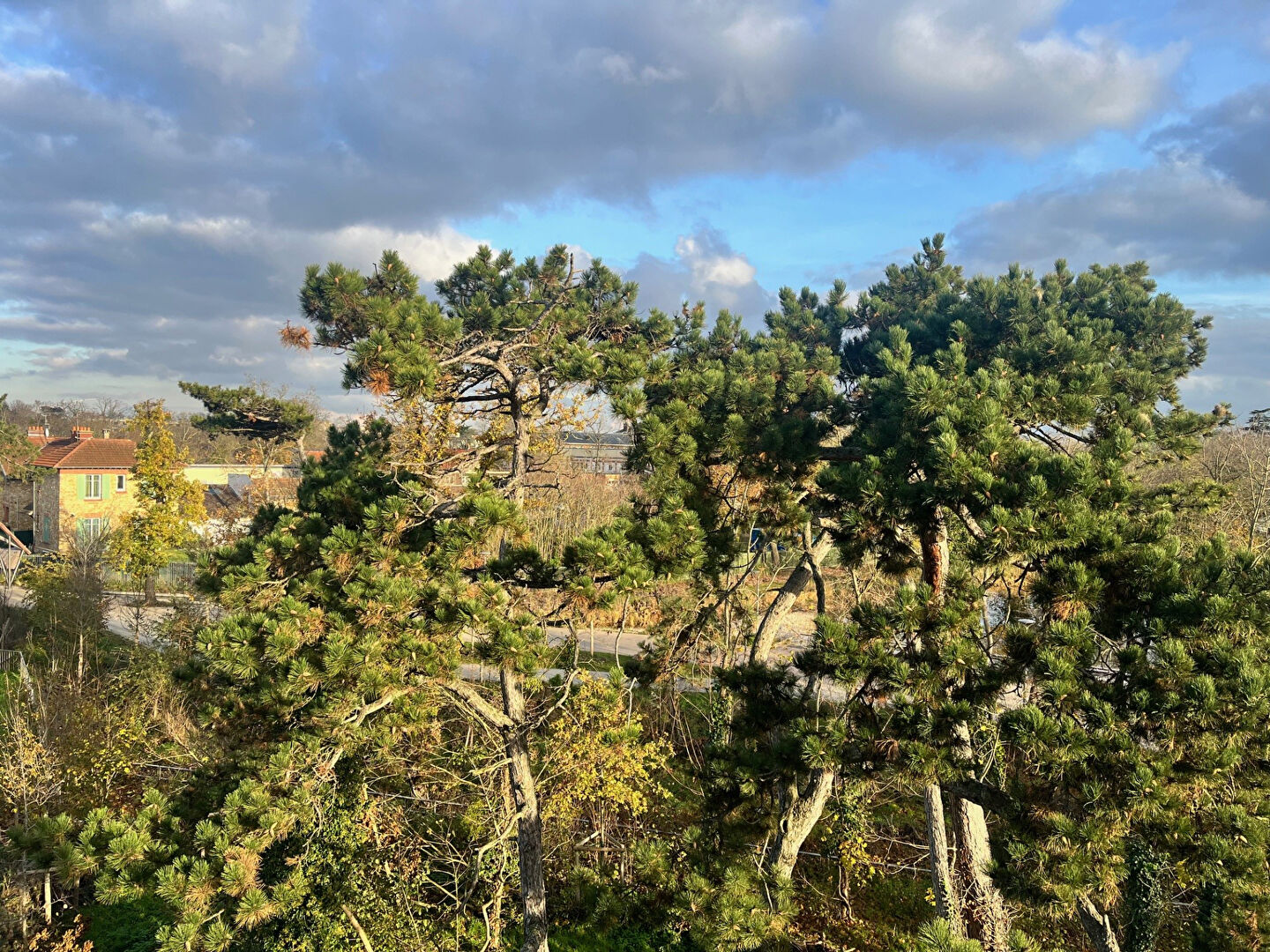 Photo PENTHOUSE meublé  Le Vésinet- 4 /5 pièces - Duplex 100 m2  avec terrasses image 2/6