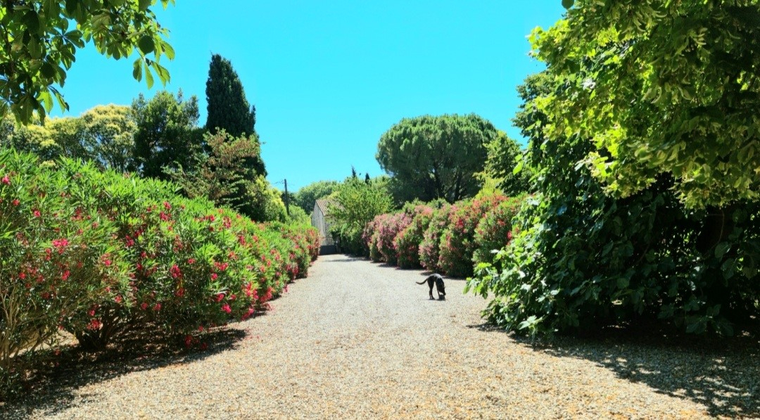 Photo Demeure de prestige Saint Marcel Sur Aude 12 pièce(s) 435 m2 image 2/6